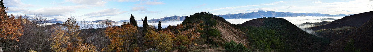 Come avrebbero potuto vedere nostri occhi