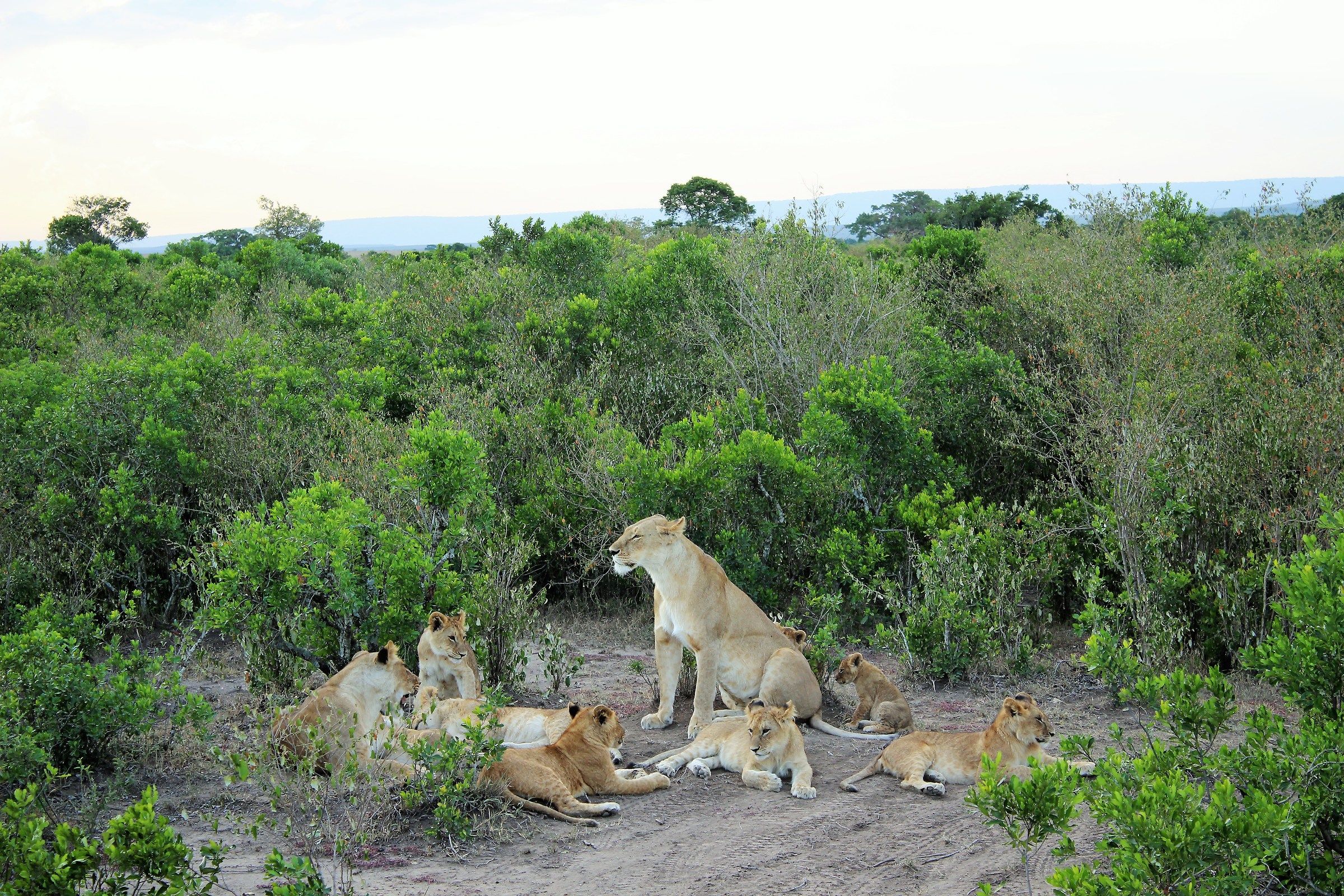 Un bel quadretto famigliare