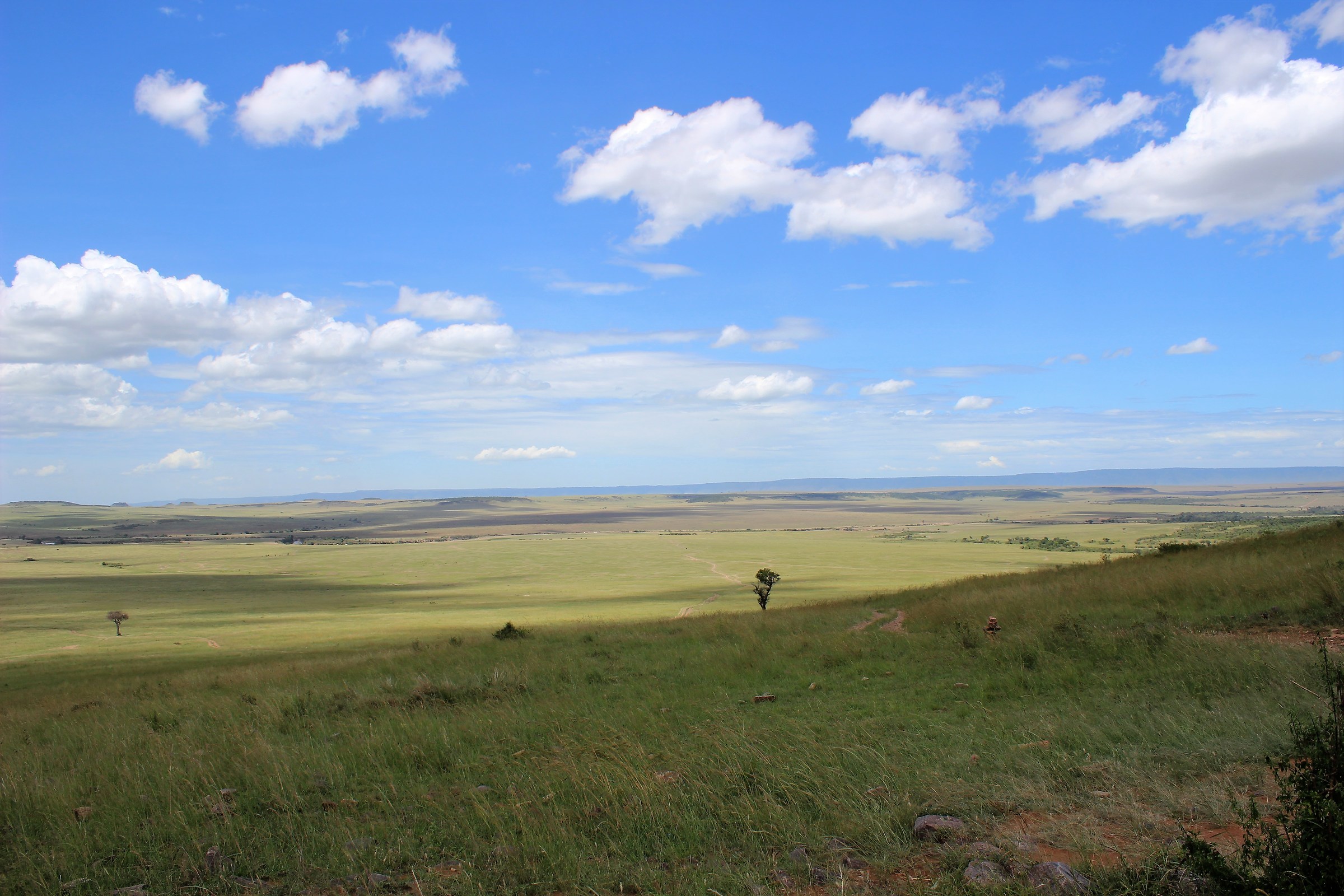 Uno scorcio sulla savana e tutti i suoi colori