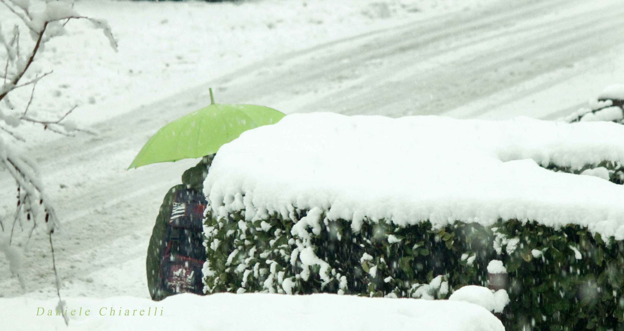 Ombrello sotto la neve