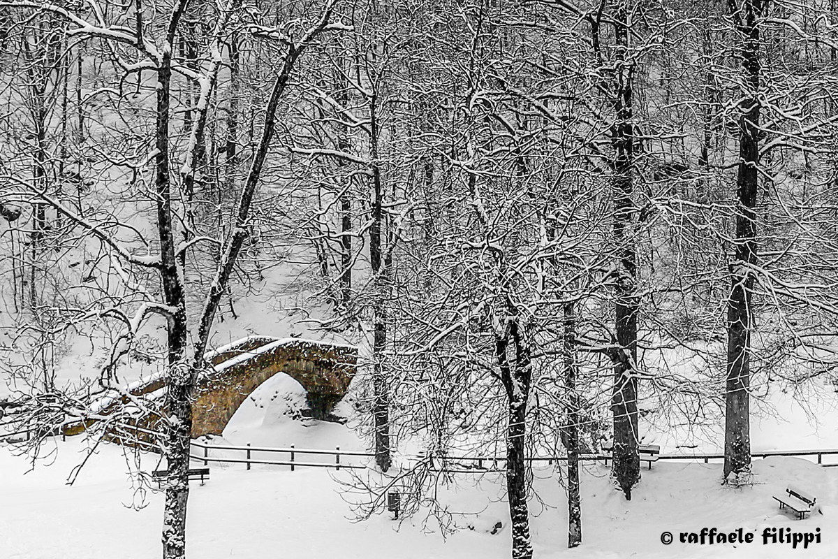 Punt dla cua - Piedicavallo - Biellese