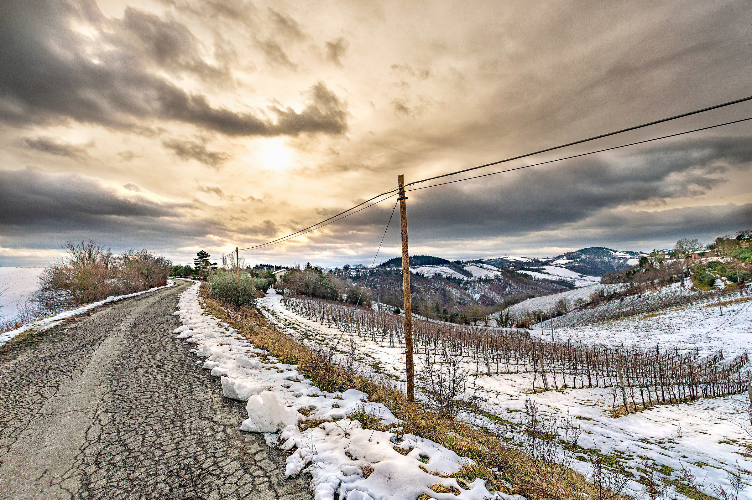 The days of merla.....il bite of winter