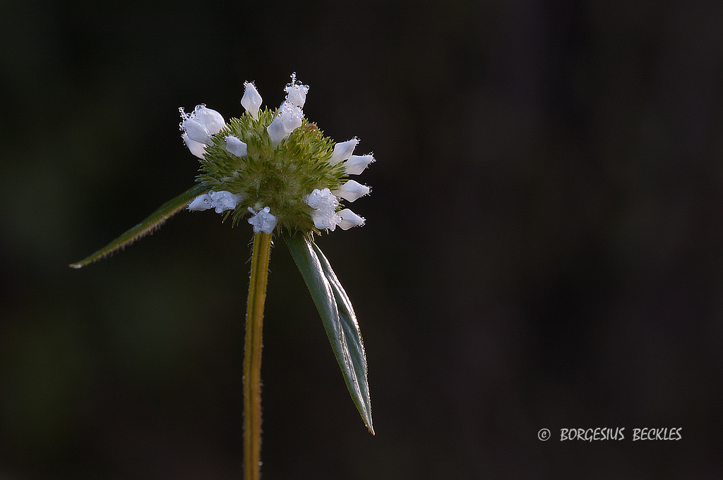 Alone...................