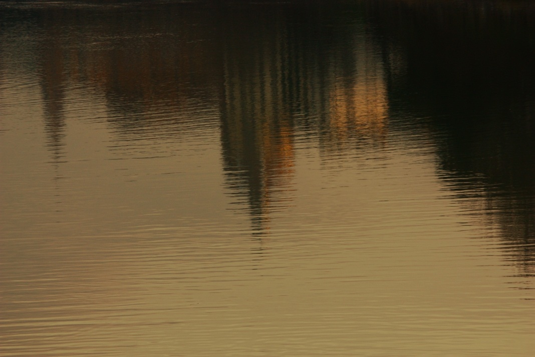 Sull'Arno the evening