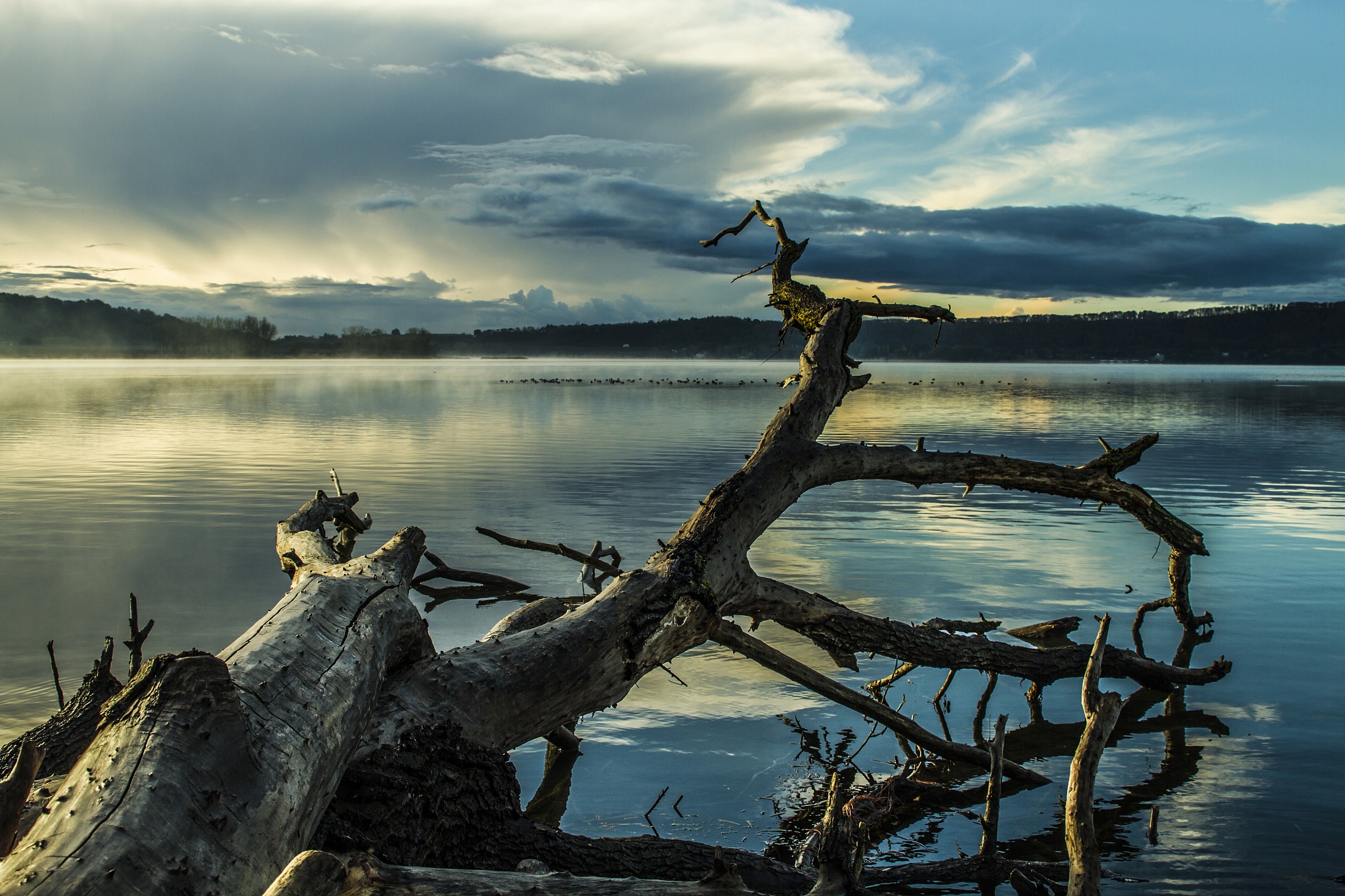 Alba sul lago di Vico