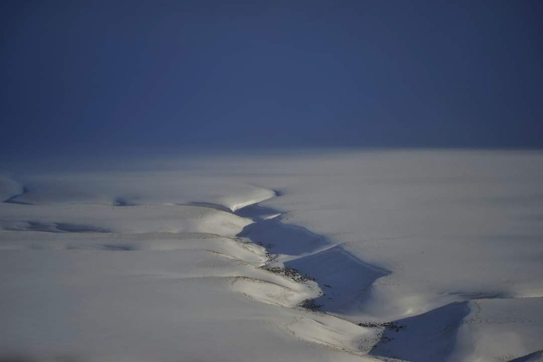 Mergani in the Snow Castelluccio
