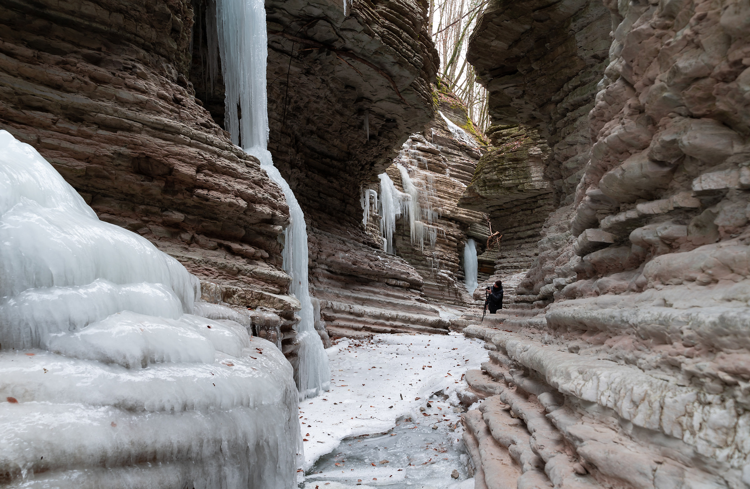 ... un "collega" ...