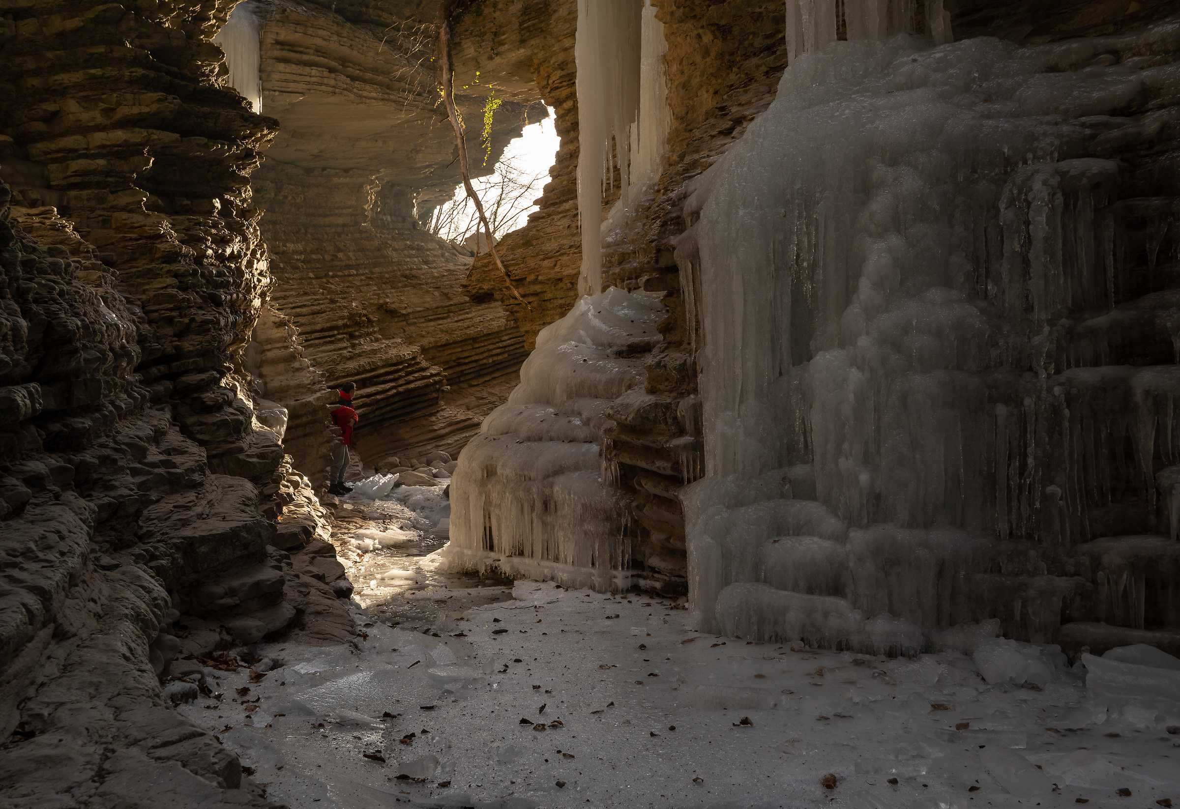 ... towards the light...