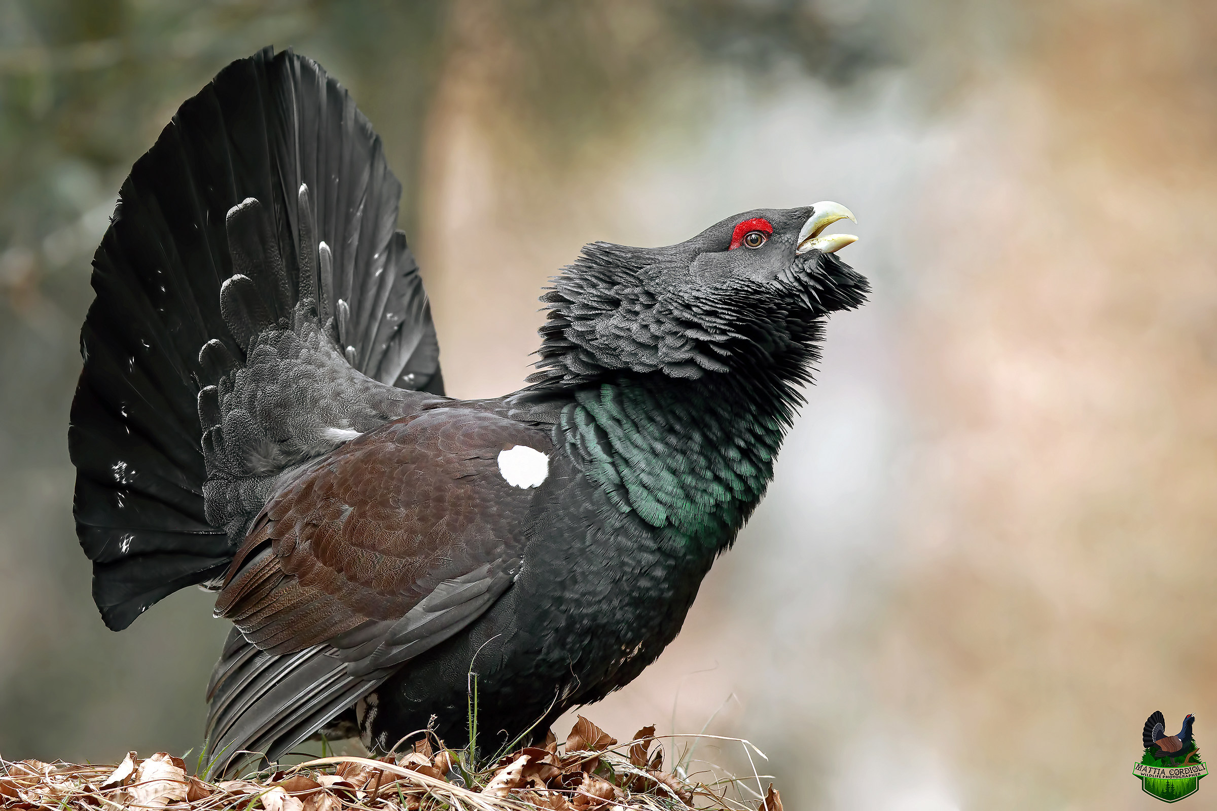 The God of the Wood...