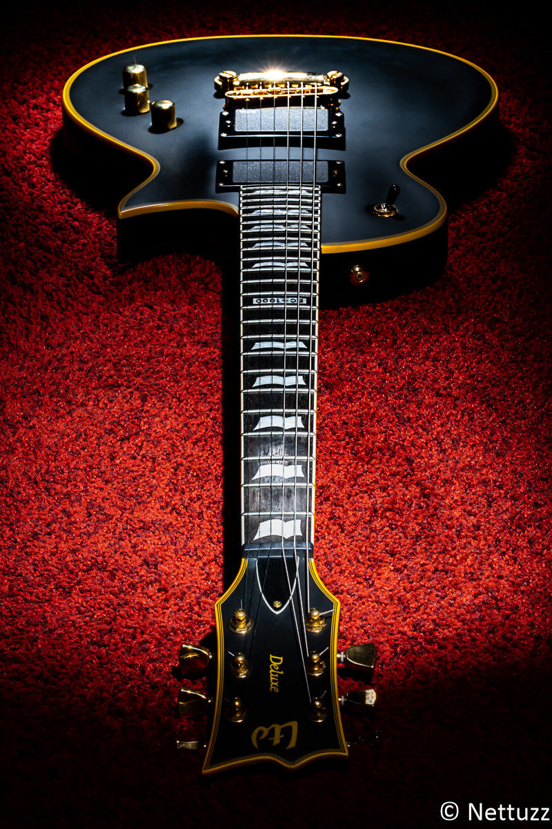 ESP Ltd EC-1000