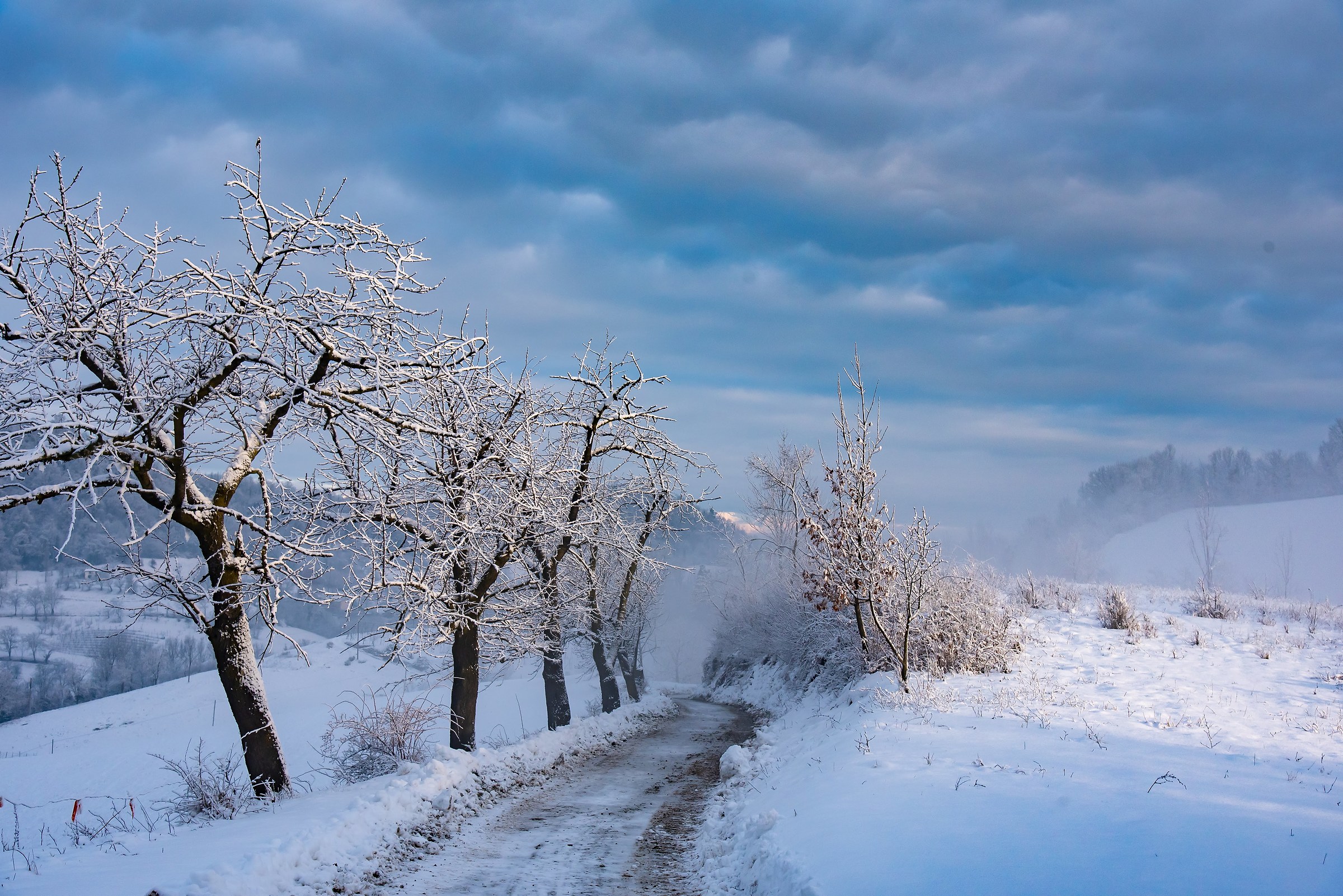 Cold and icy morning
