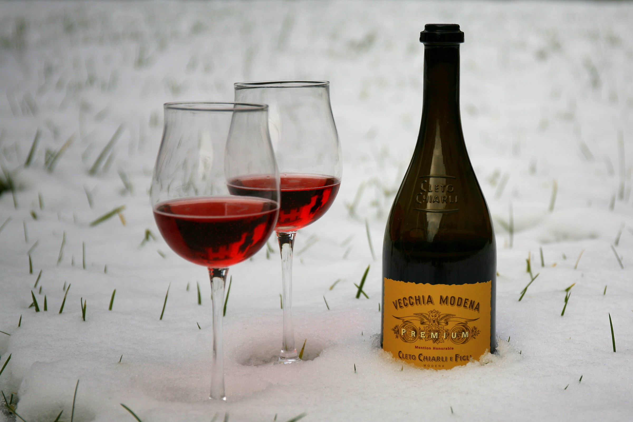 Lambrusco of Sorbara