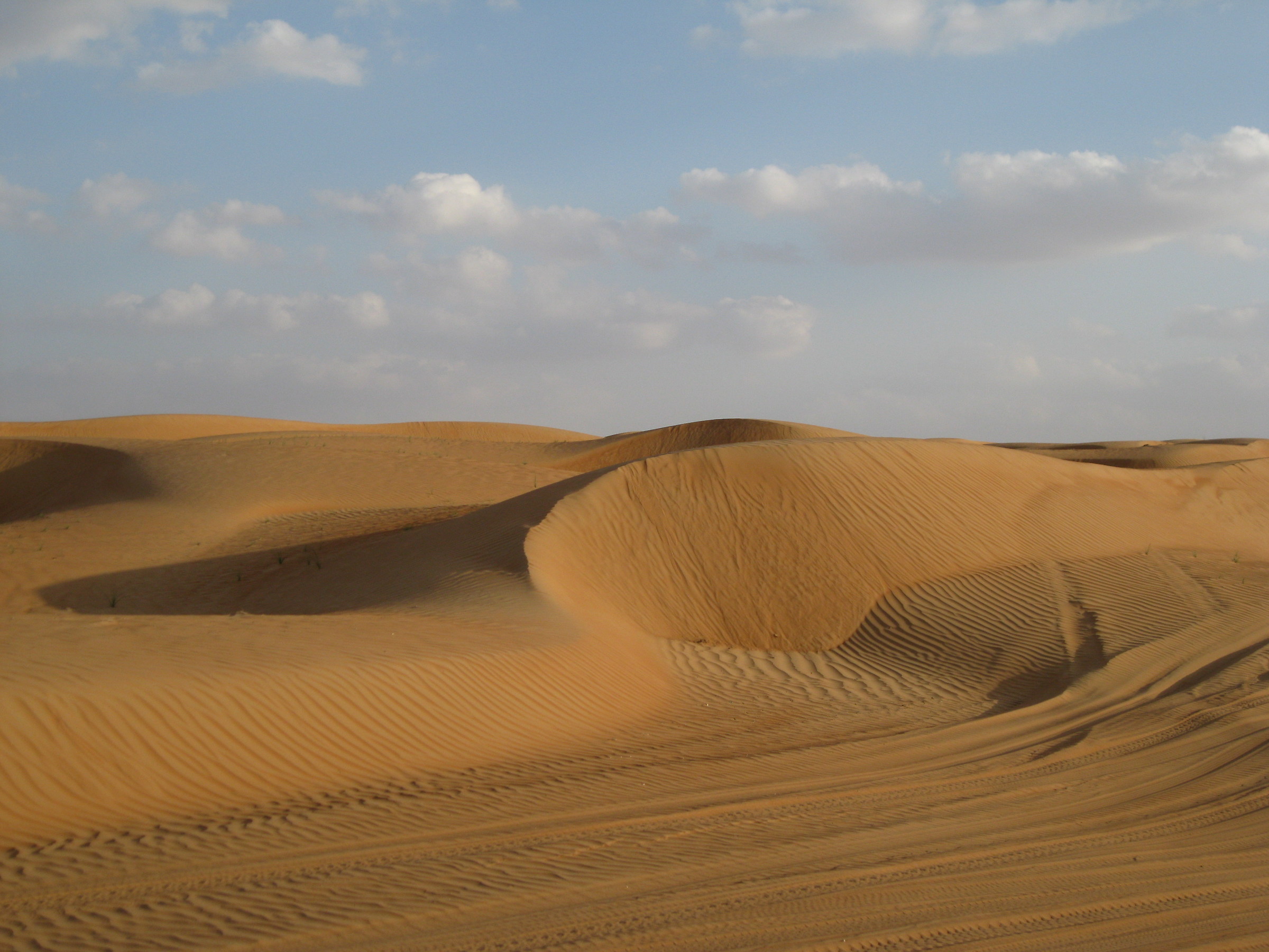 Desert Oman