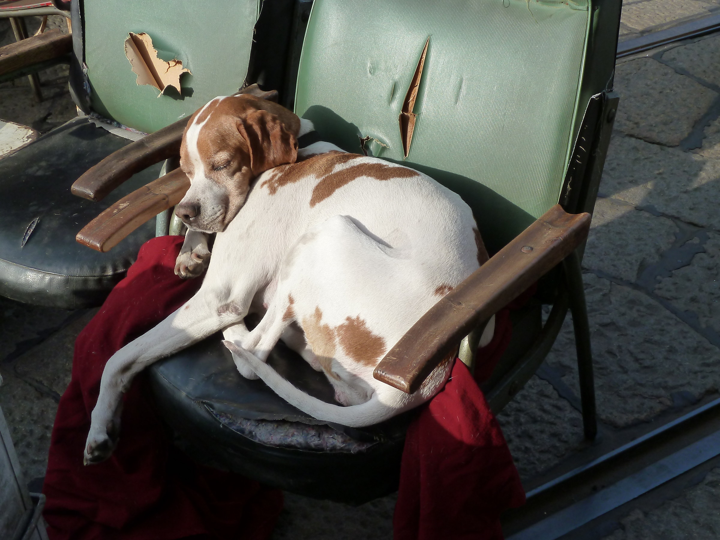 poltrona vecchia fa buon riposo