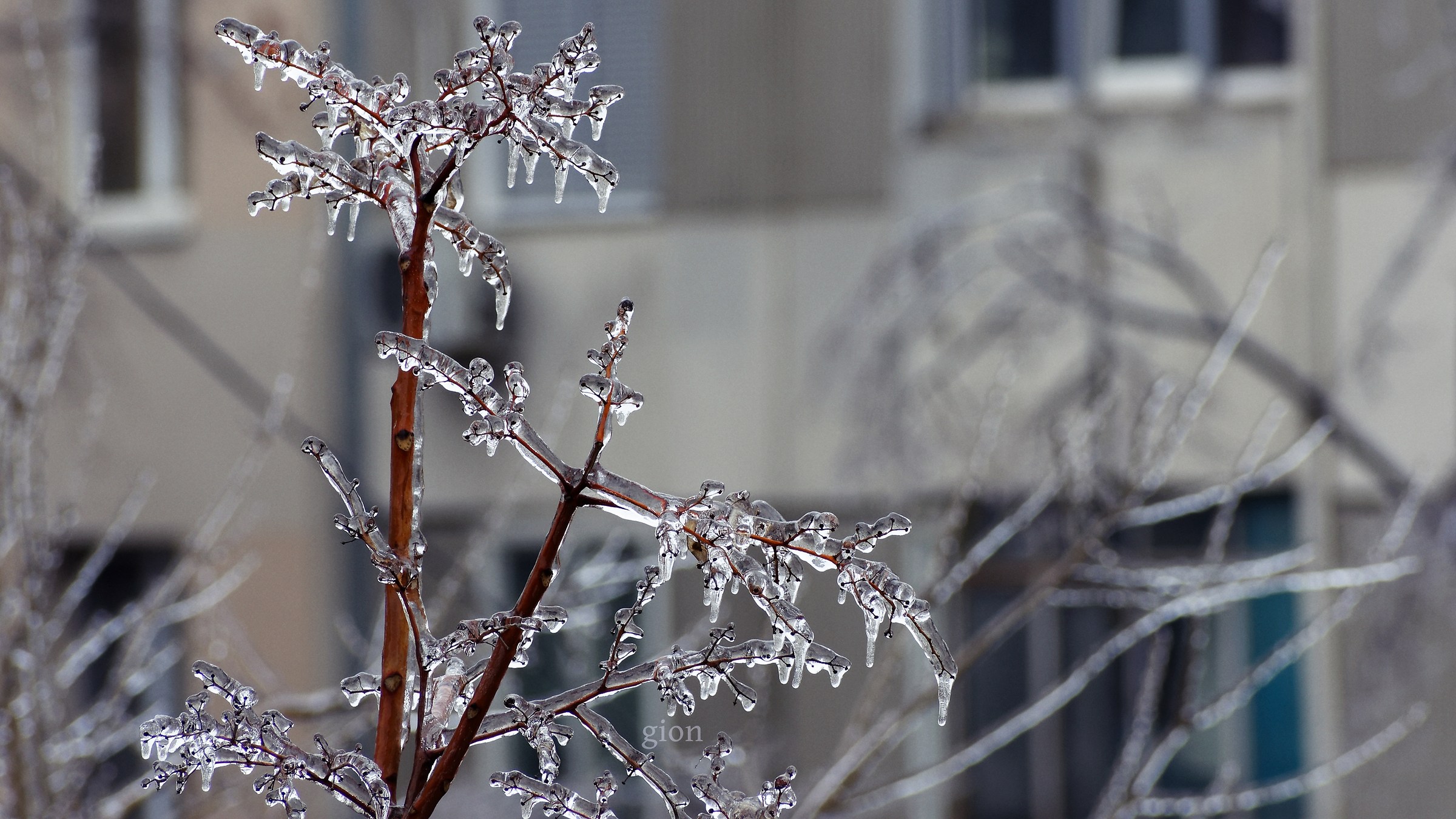Ricordi della recente era glaciale
