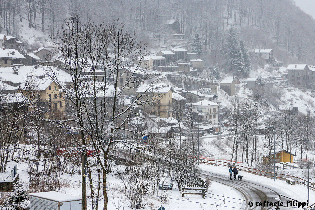 Walking the dog-Piedicavallo-Biellese