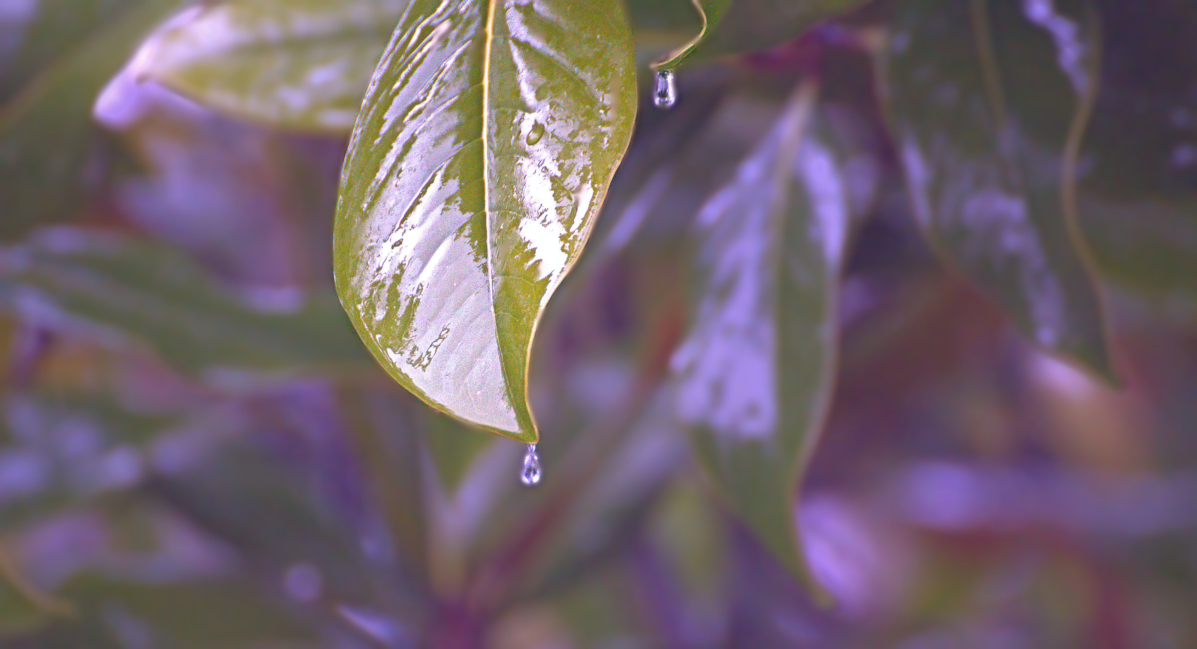 "The rain comes down..."