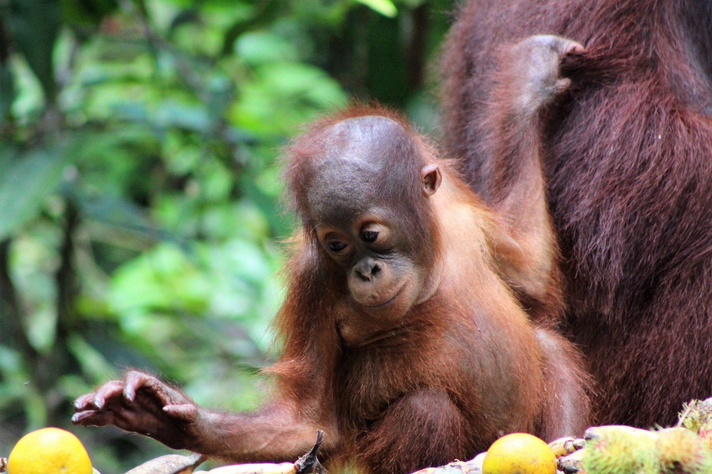 Mamma ne mangio ancora uno!