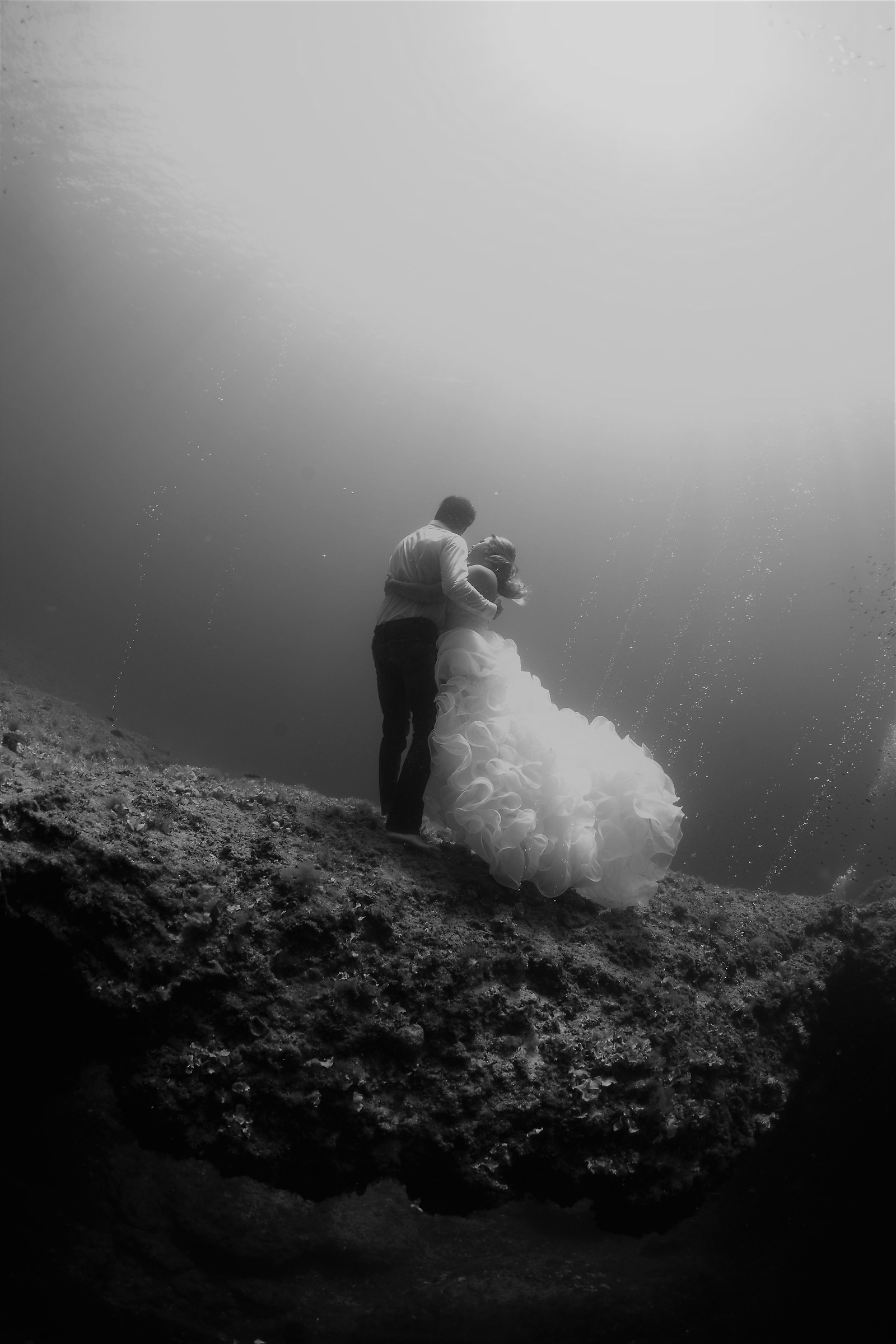 Underwater Wedding - Bridge