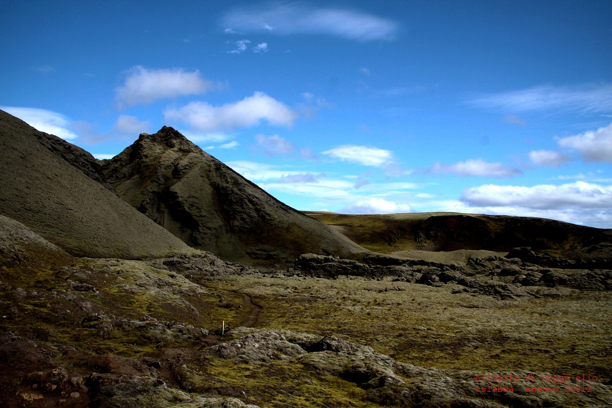 Tra lava e muschio Islanda 2012