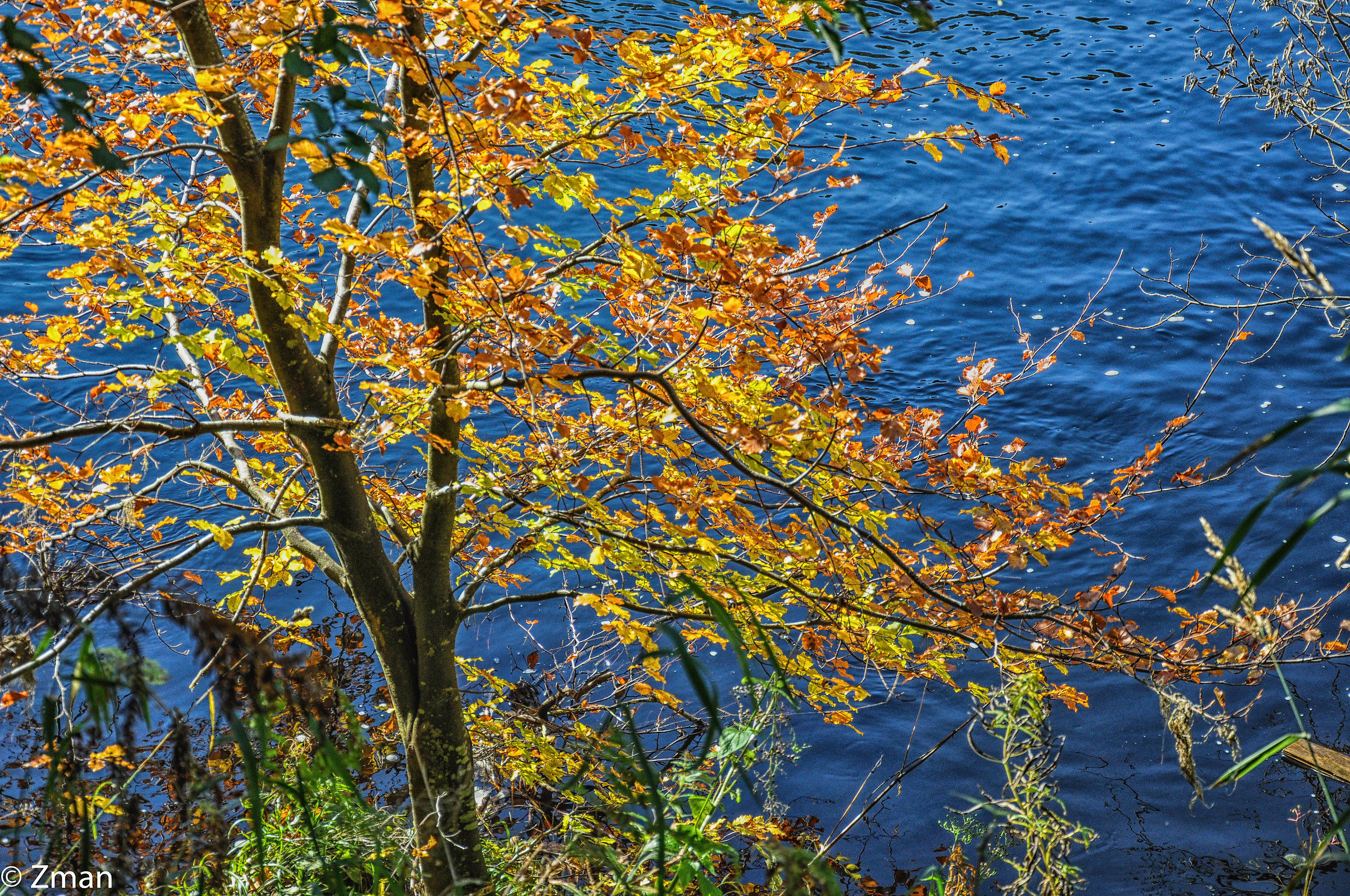Caleidoscopio di colore