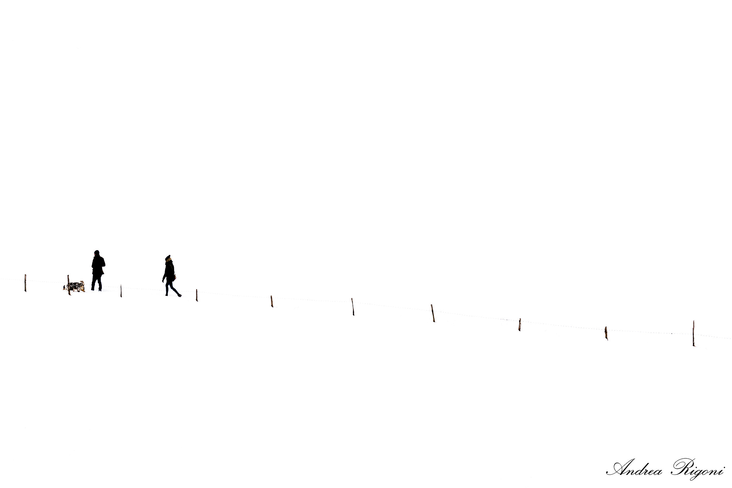 Walking immersed in the snow