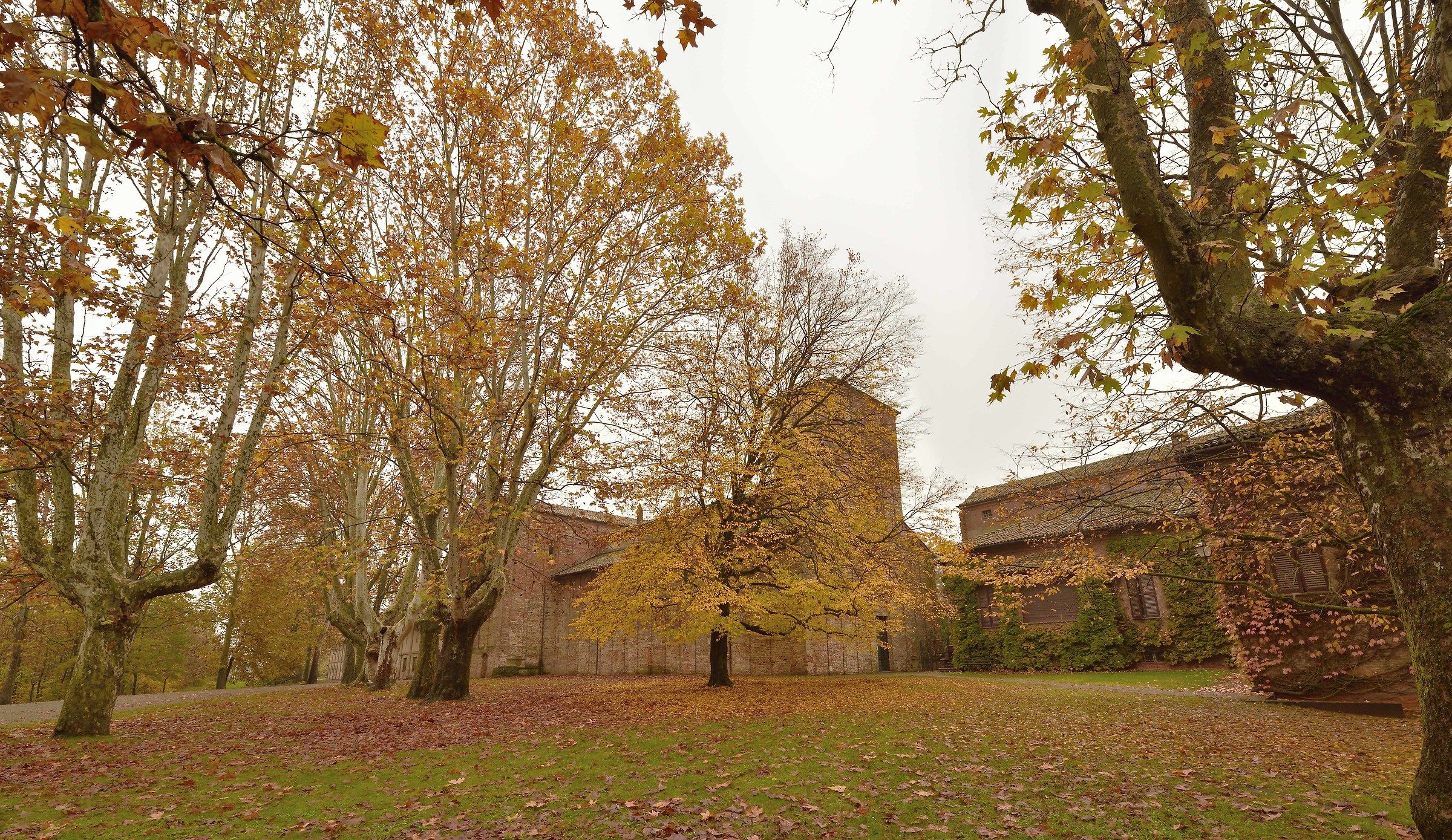 Abbey of St. Giustina