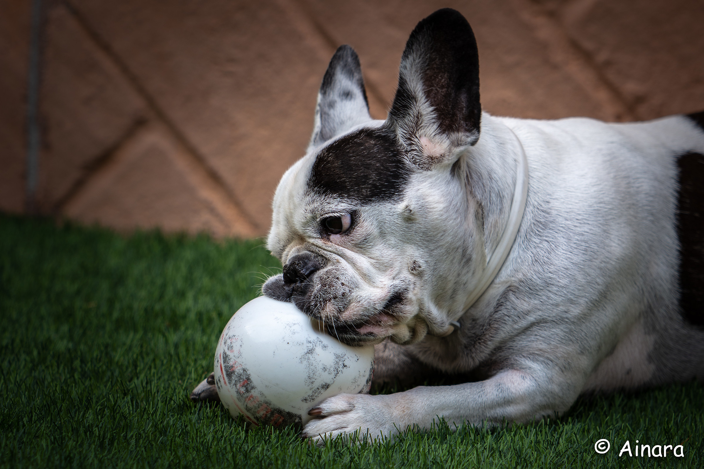 Cuba... è tutta mia