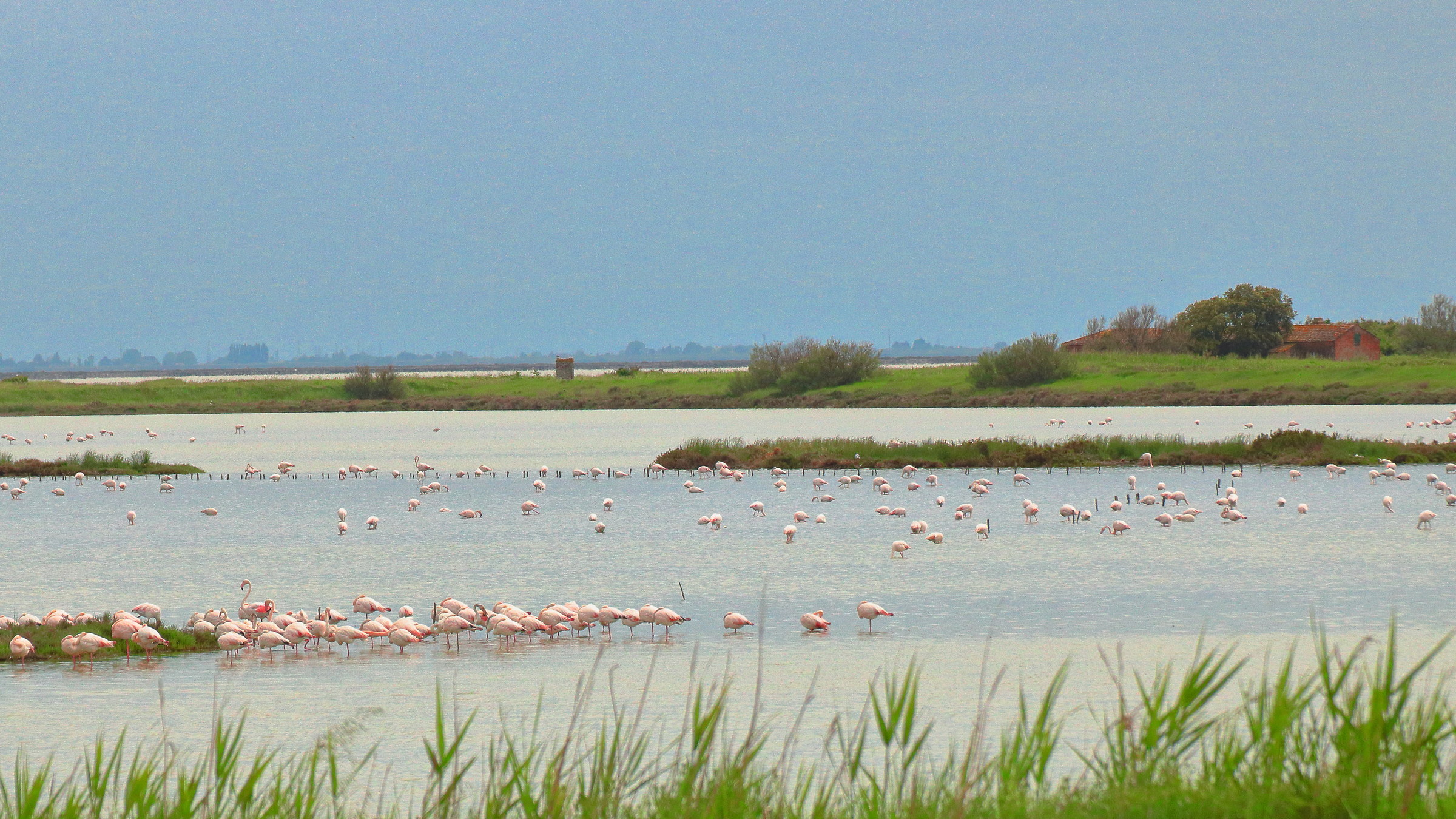 Delta of the PO Comacchio