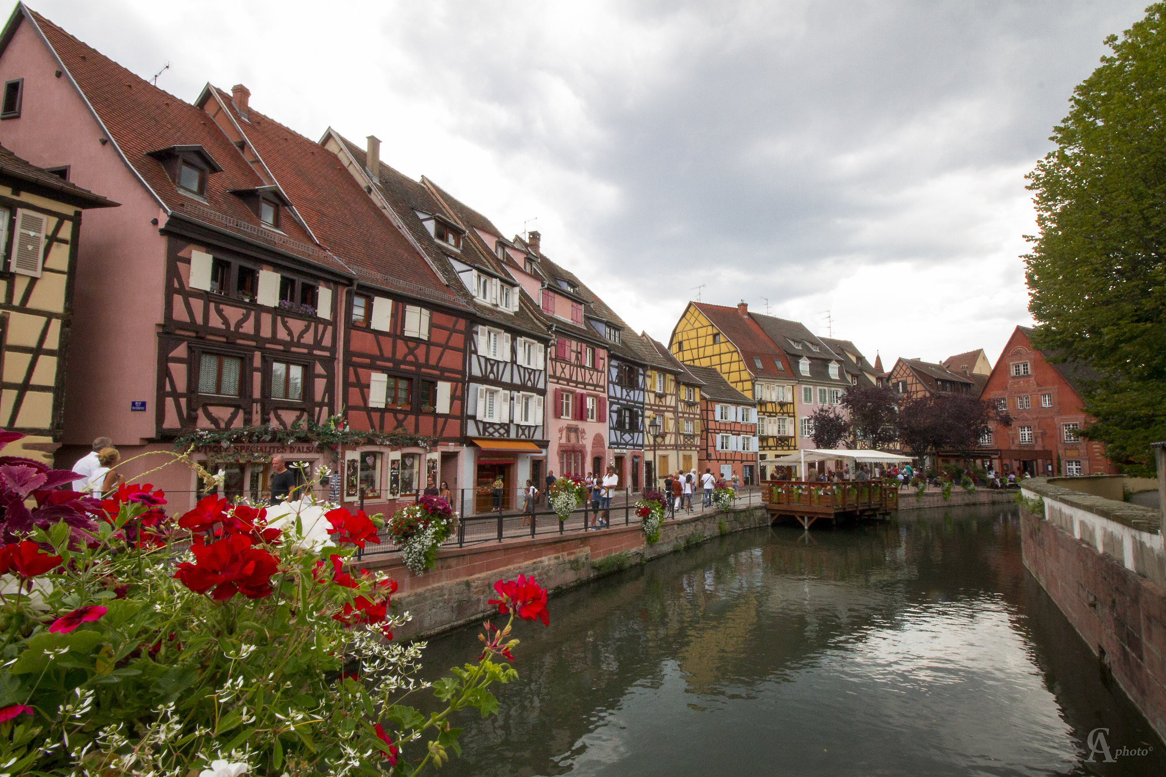 Colmar