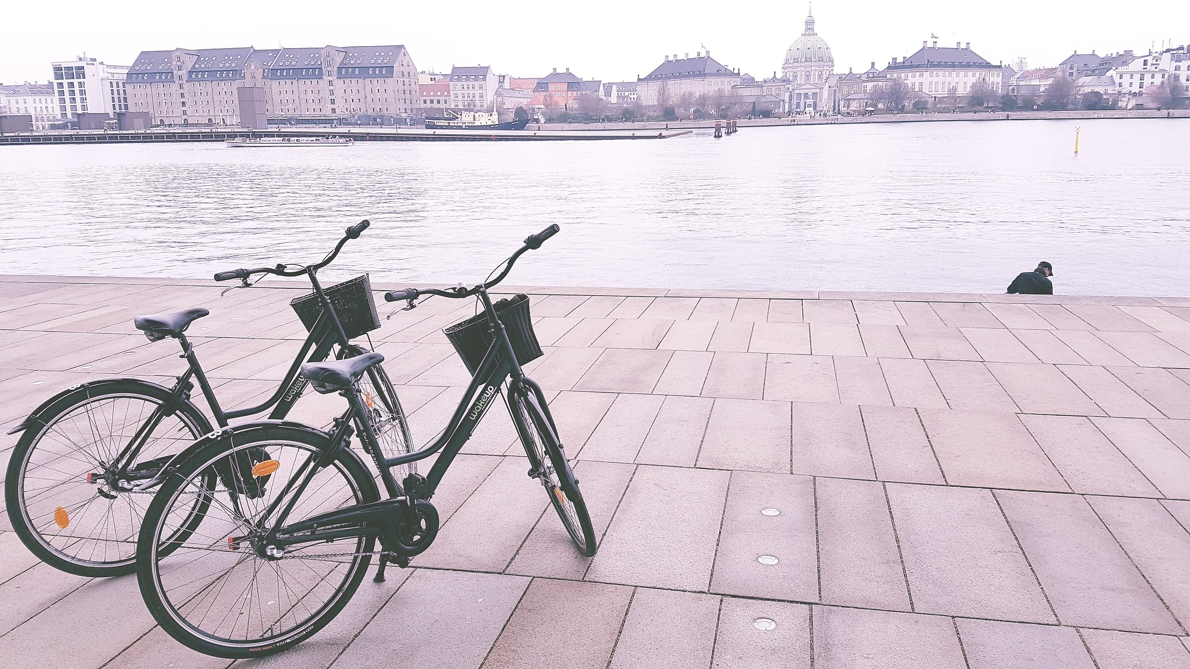 bicycles in Copenhagen
