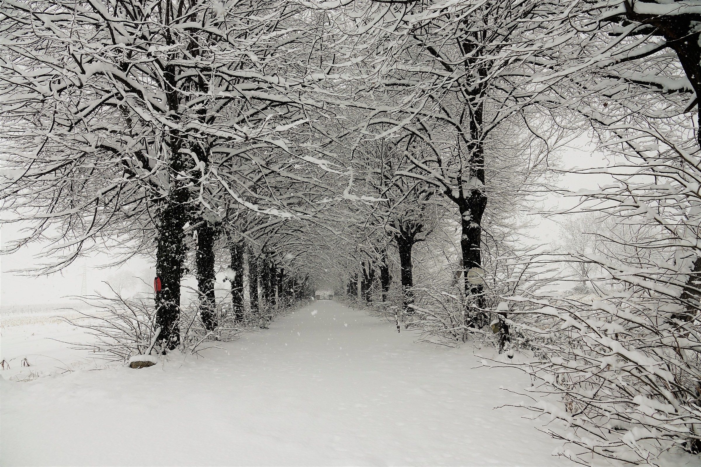 ... everything is silent.....