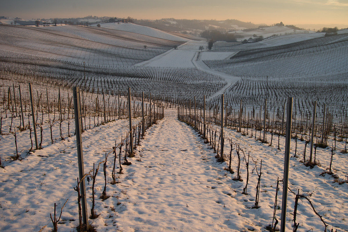 The Vineyard Amphitheatre