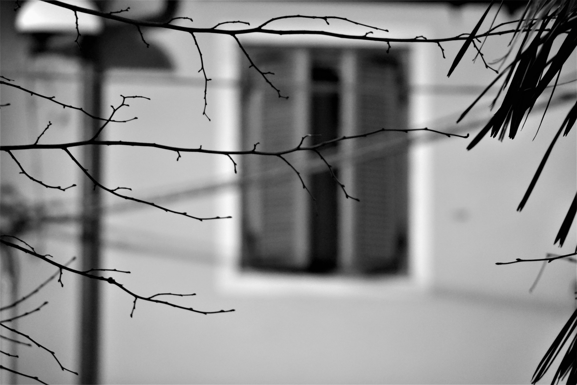 Black and white variation