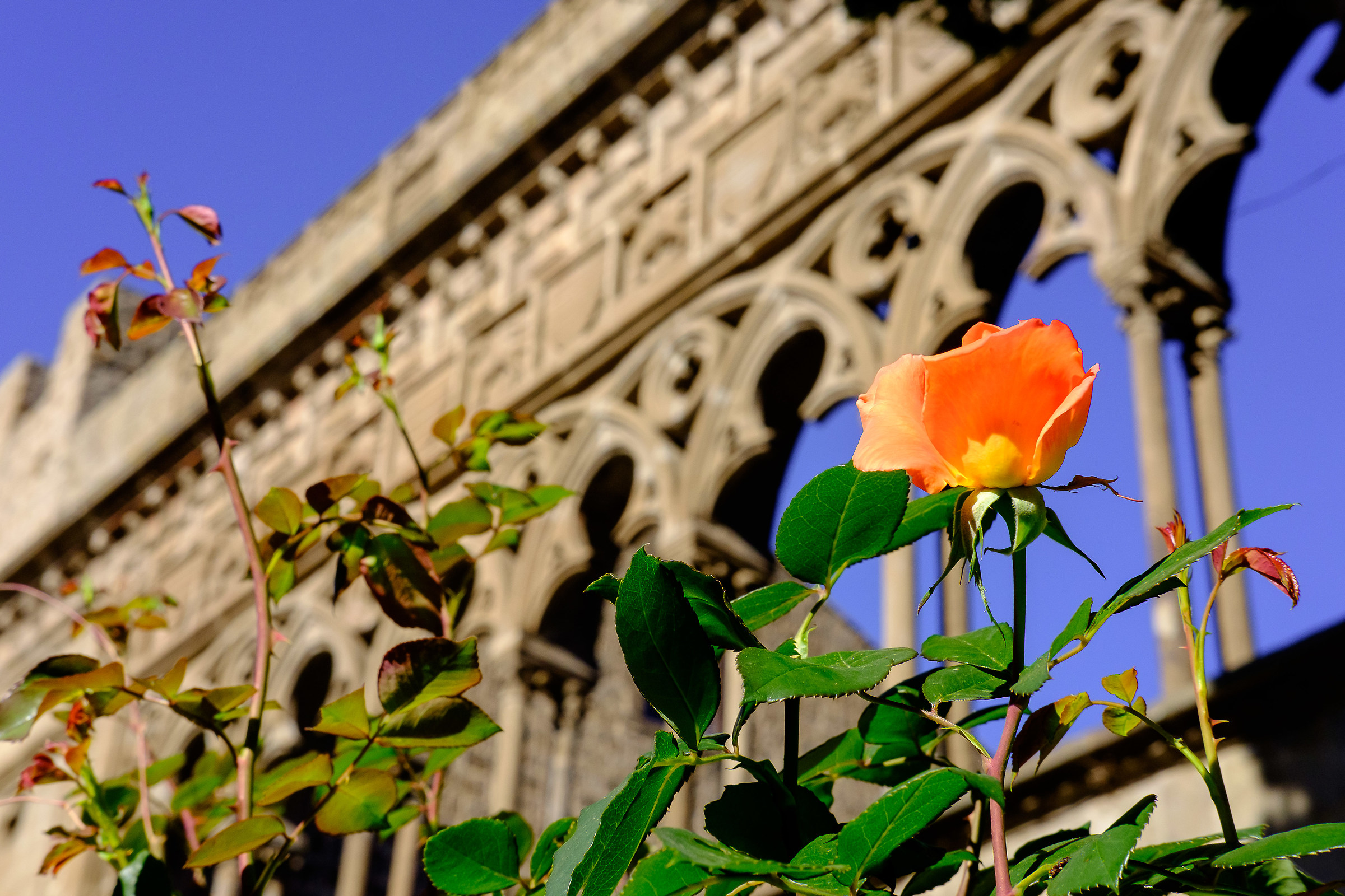 Viterbo, piazza San Lorenzo