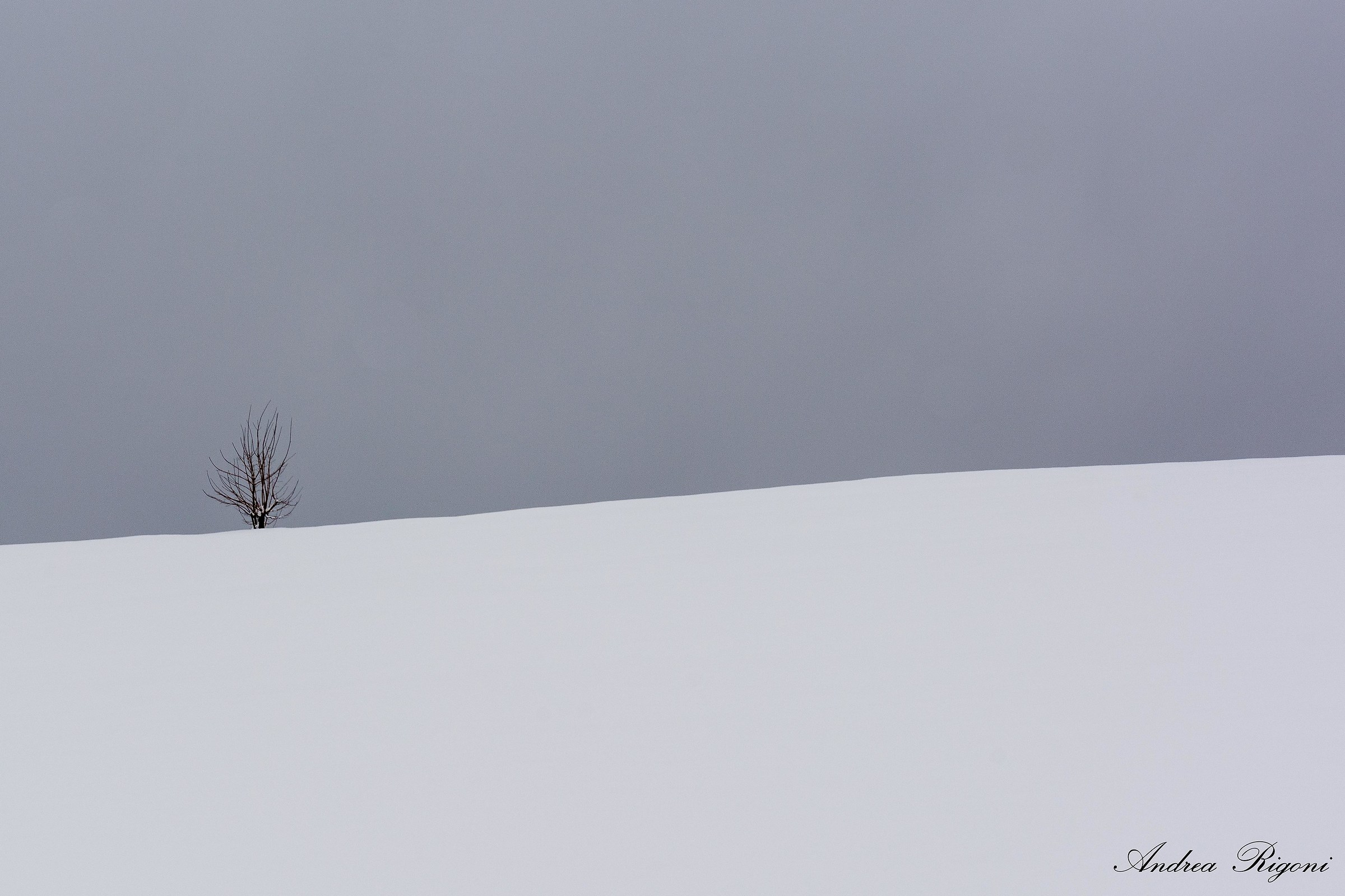 Nothing but white to look after