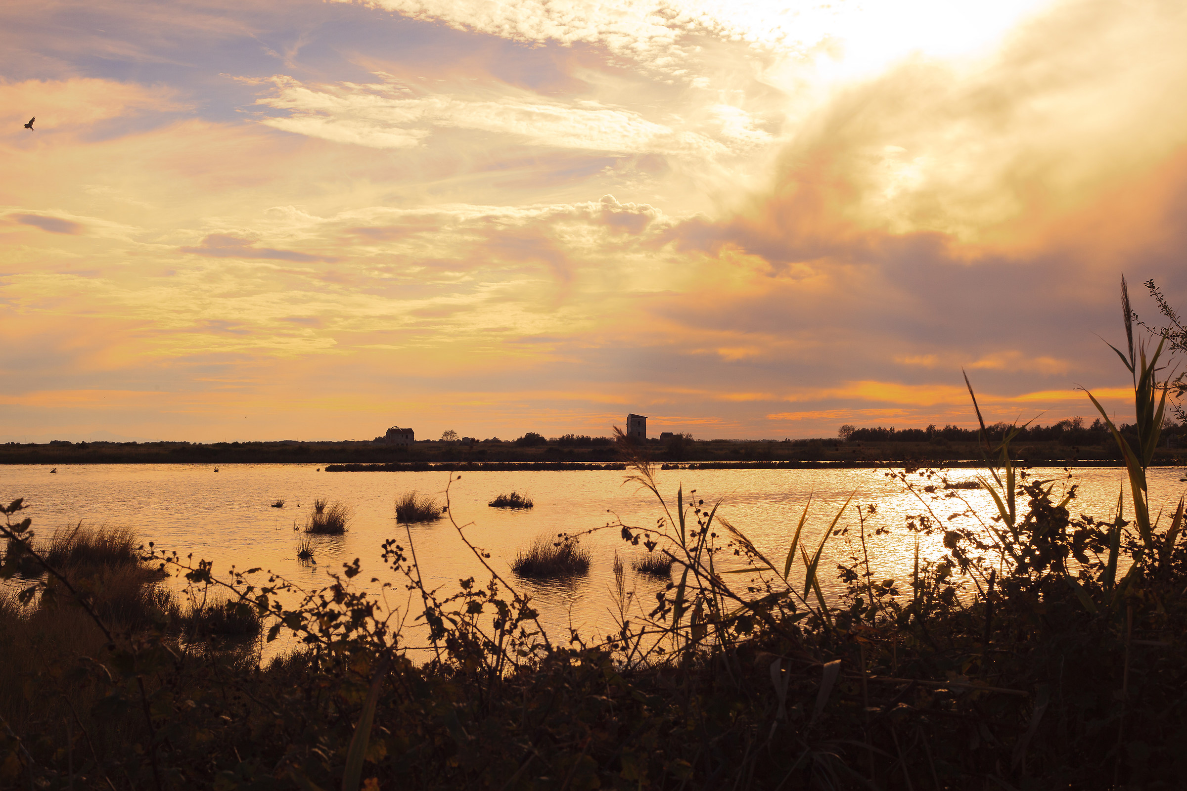 Tramonto sulle saline di Comacchio