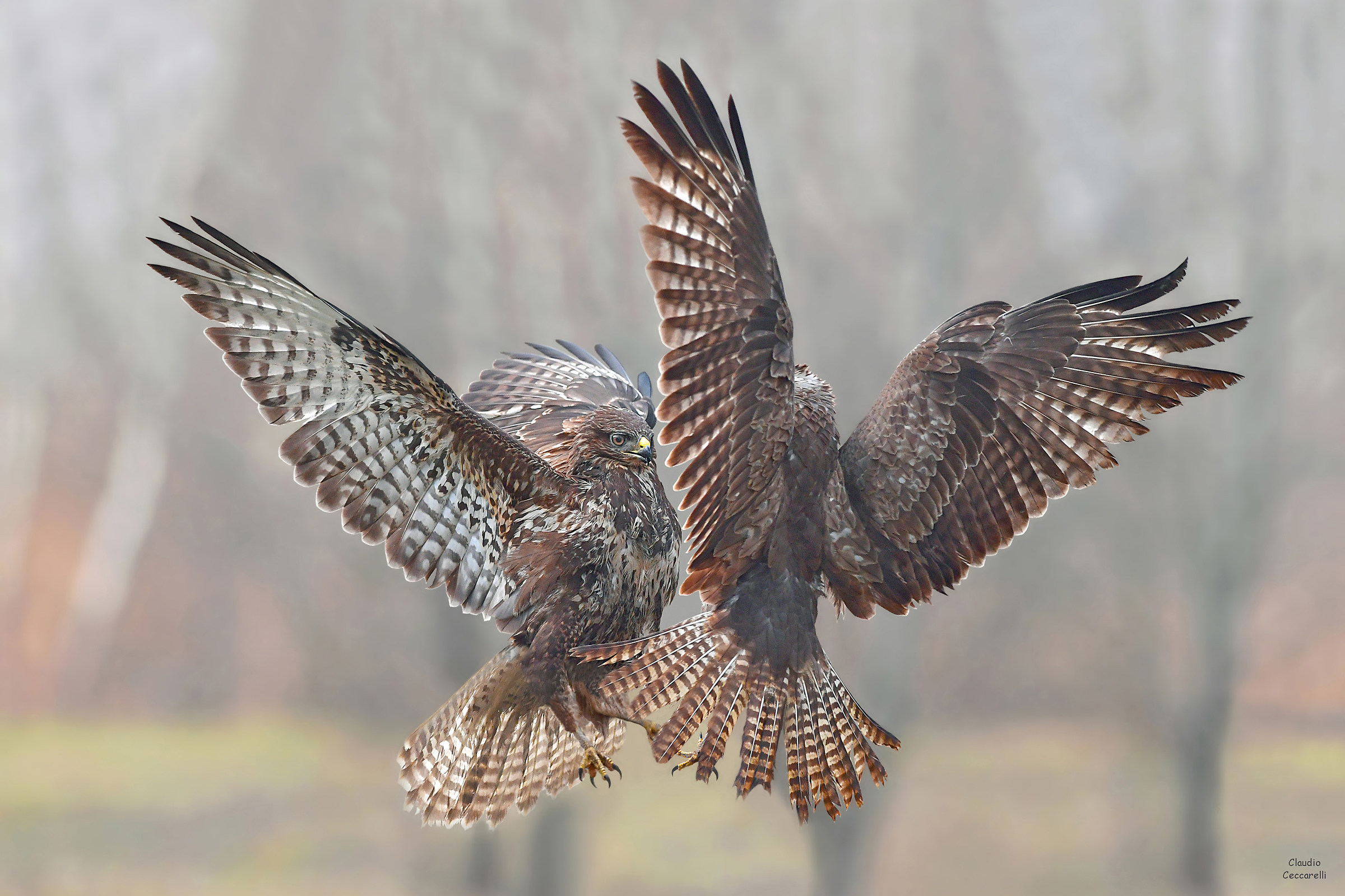 Face to face in a foggy place