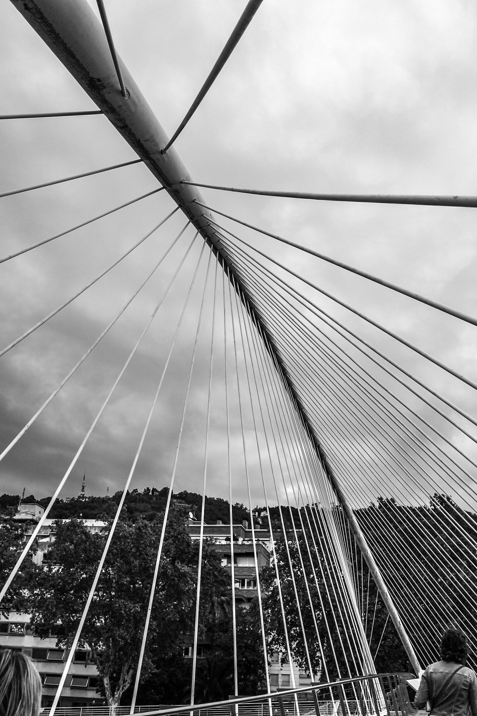 Zubizuri-Calatrava-Bizkaia-Bilbao 2015