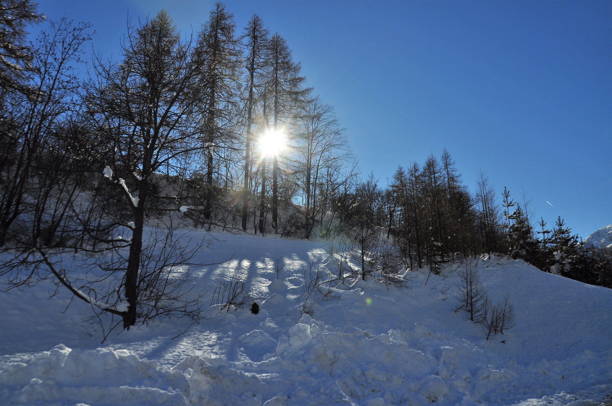 Reflections in the Snow