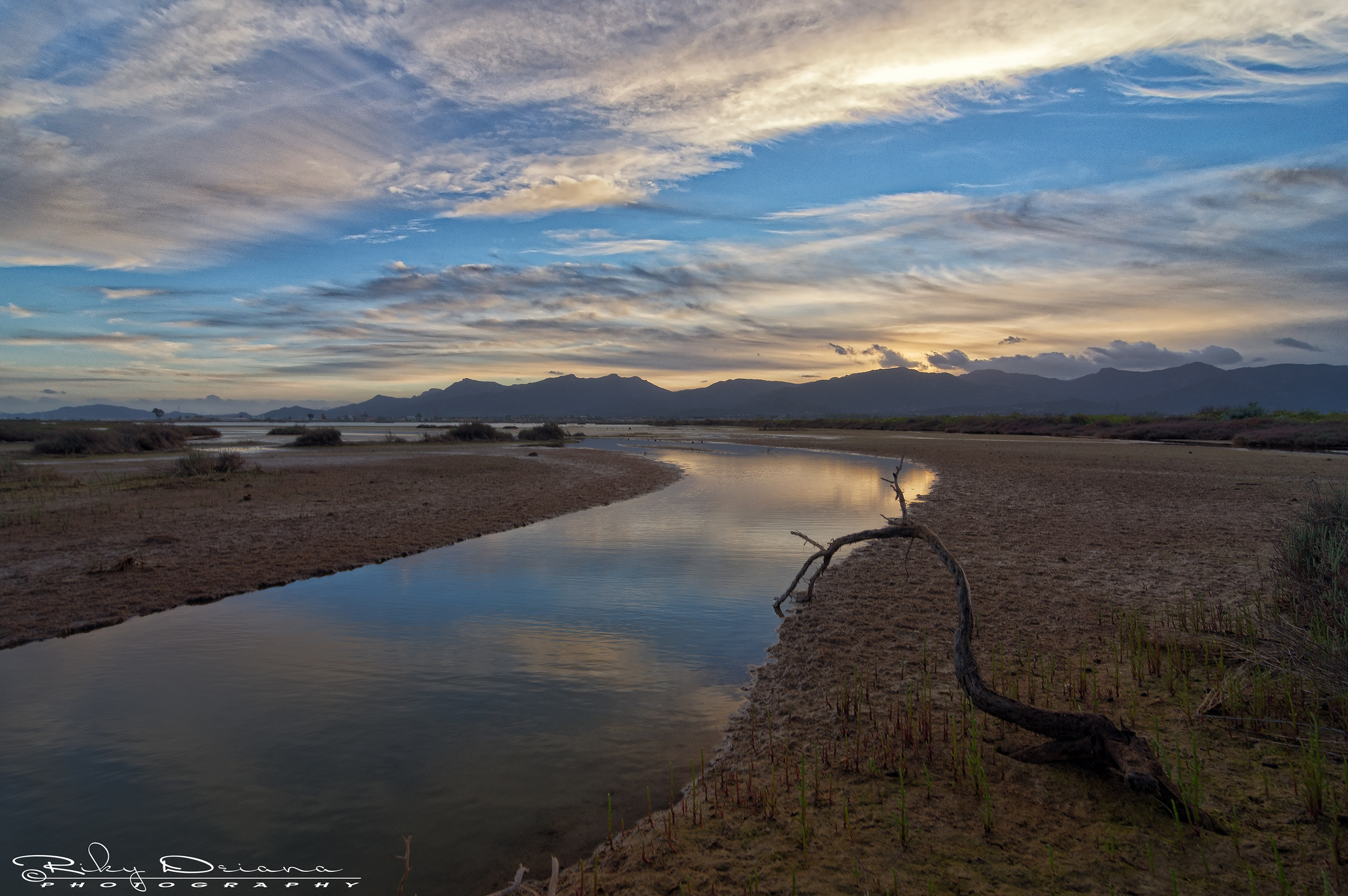 Take Your right path