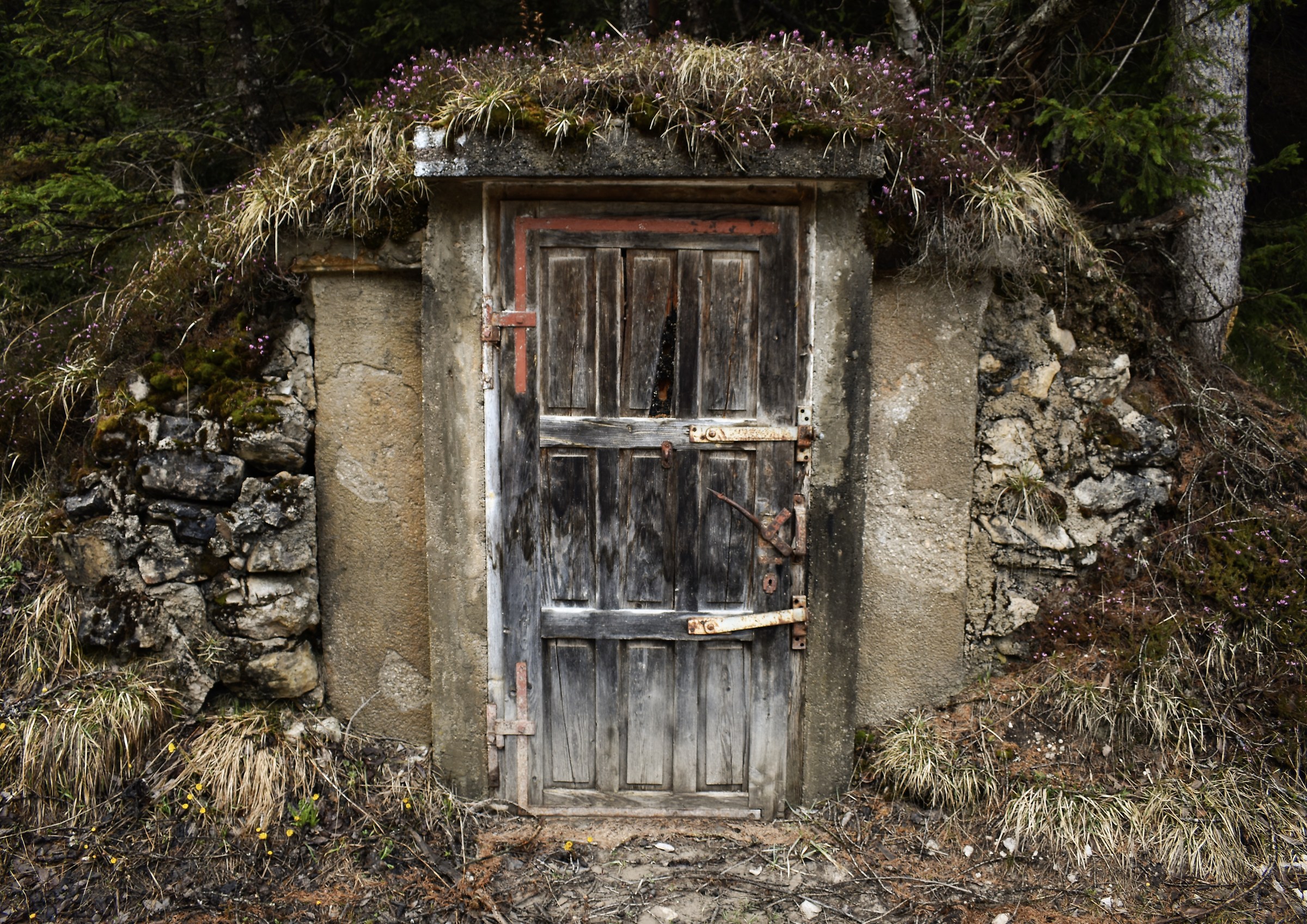 The Door to infinity