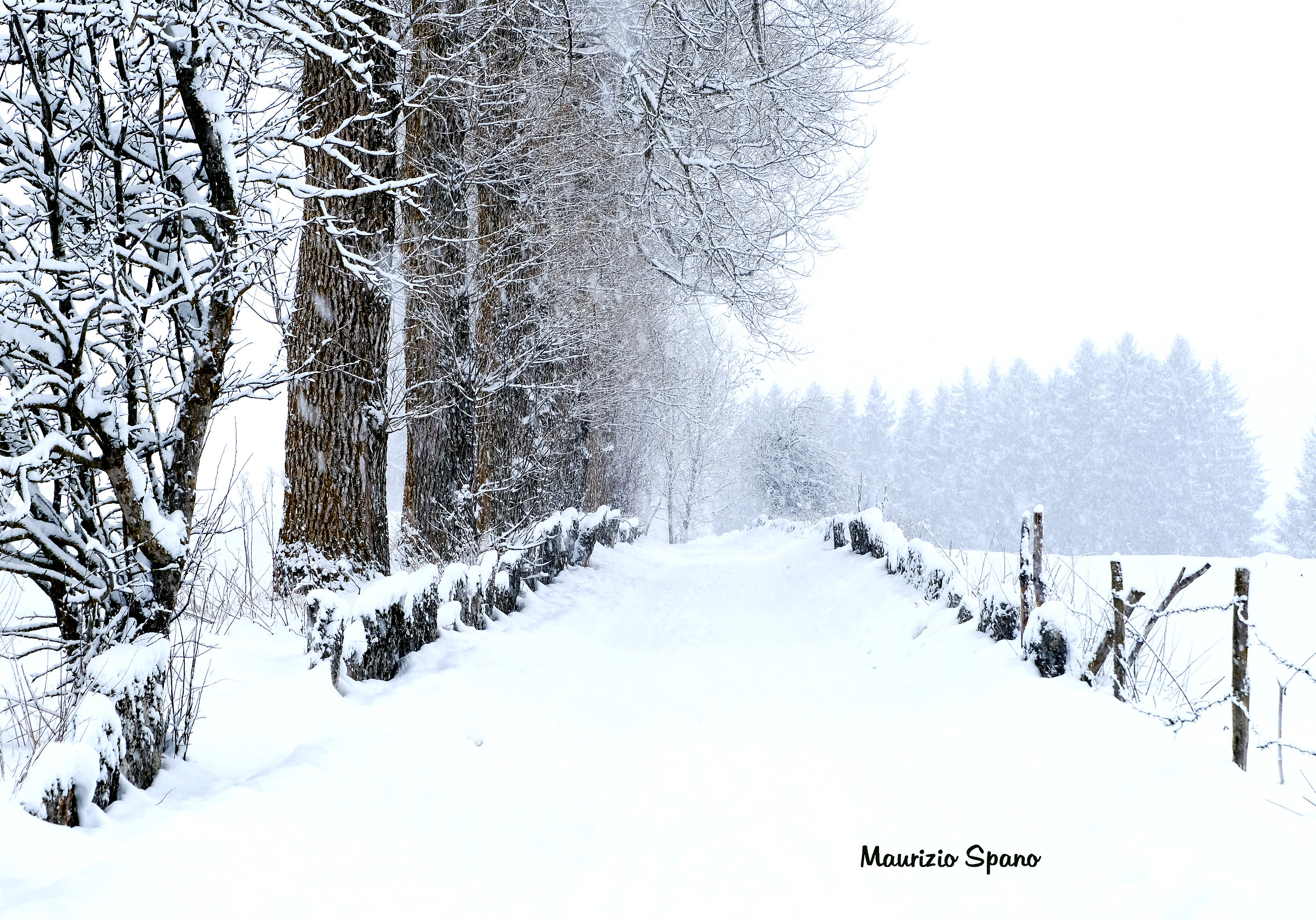Forse, il Paradiso è questa quiete...