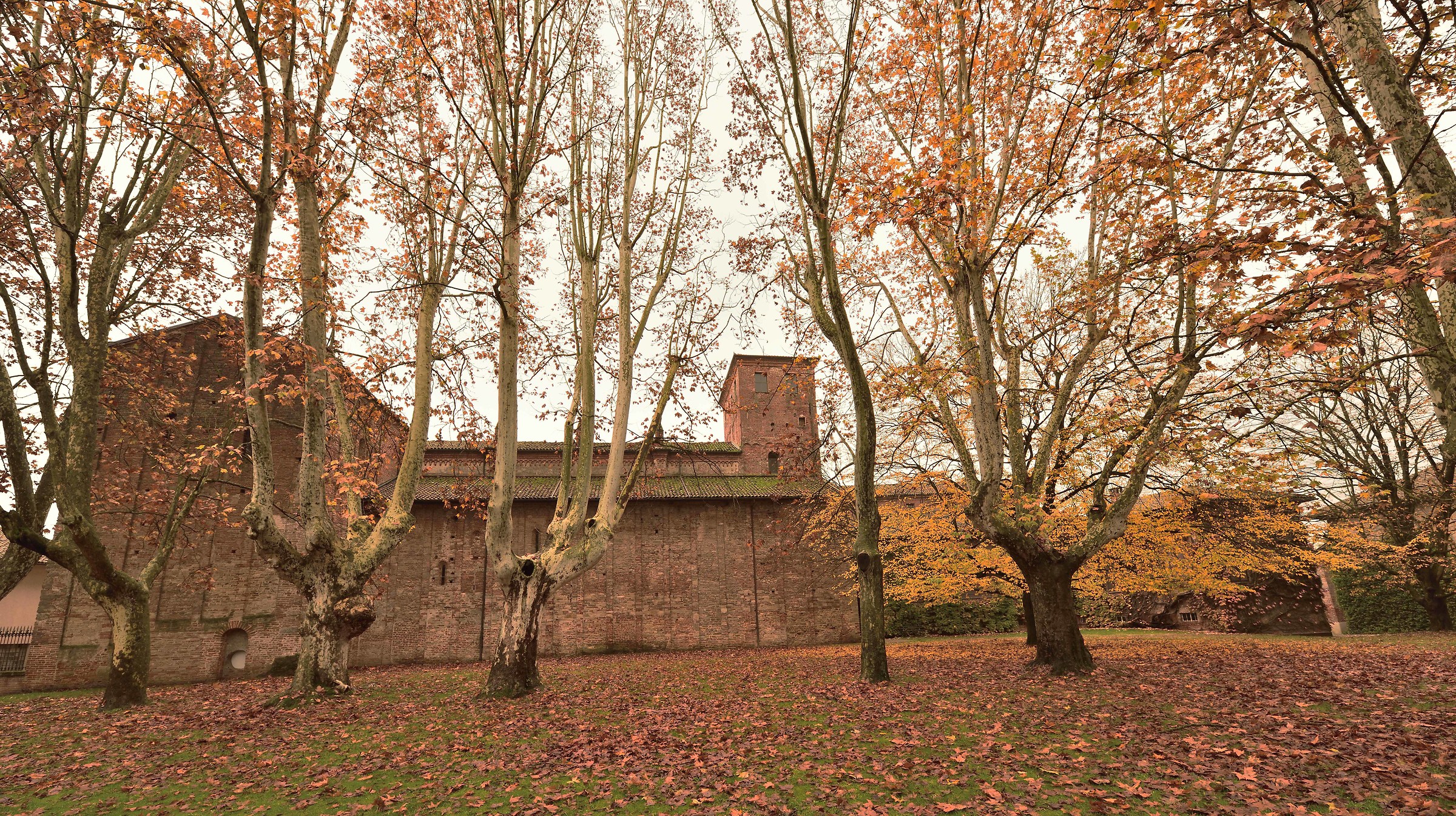 Abbey of St. Giustina