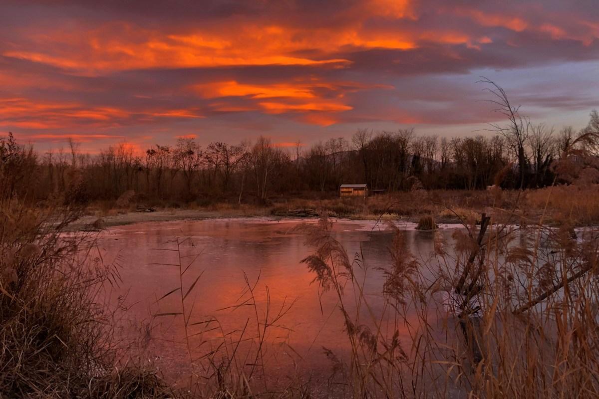 Winter Sunrise on the Oasis