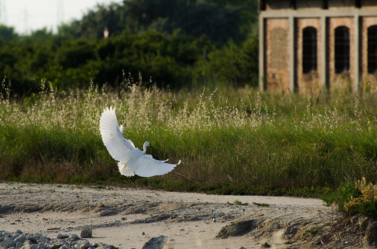 Gliding on the green