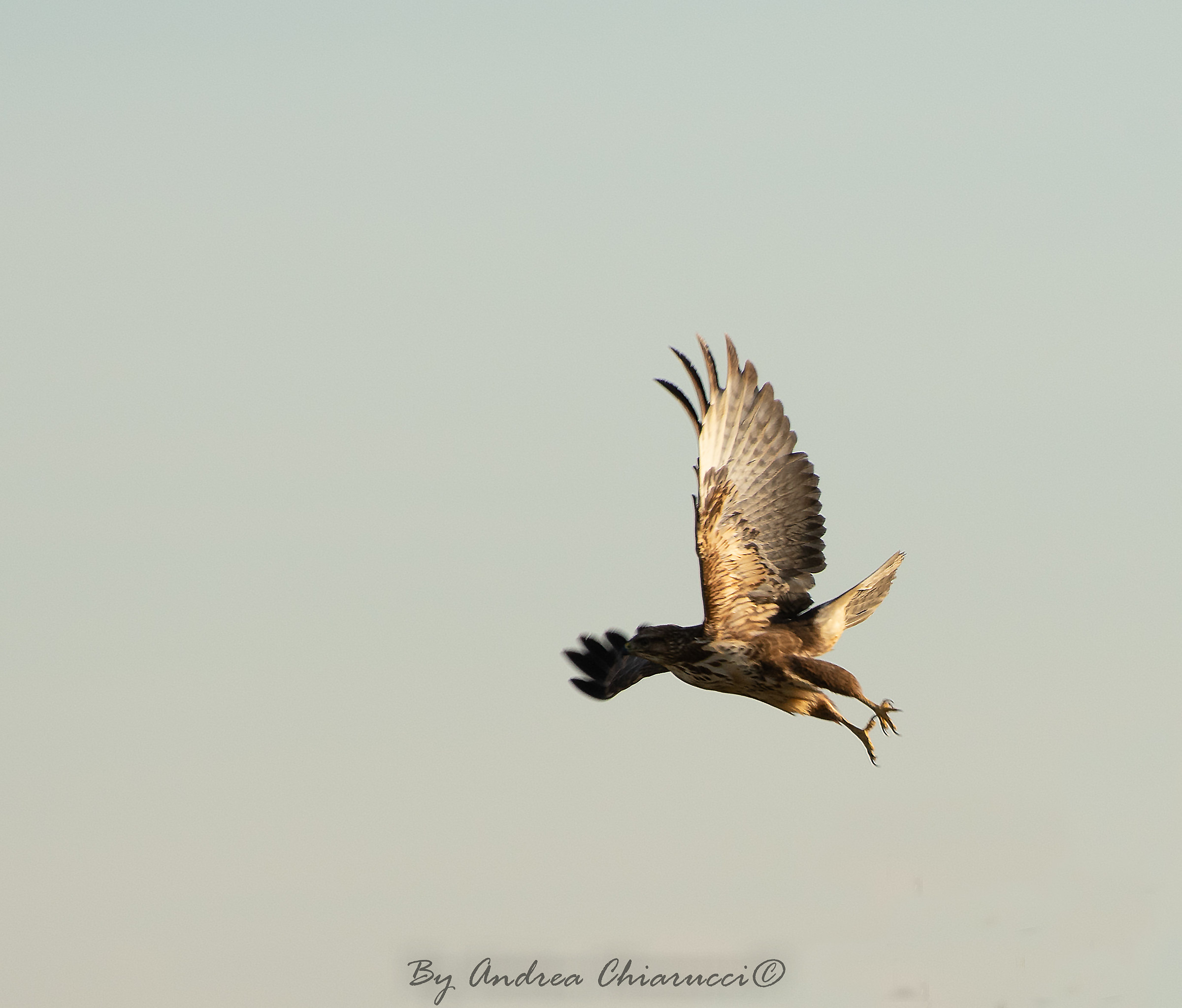 Ready, departure, countrysidechasing
