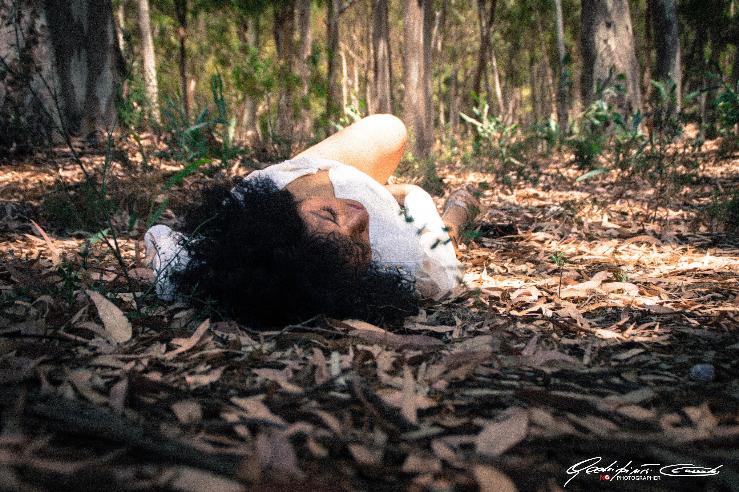 La bella addormentata