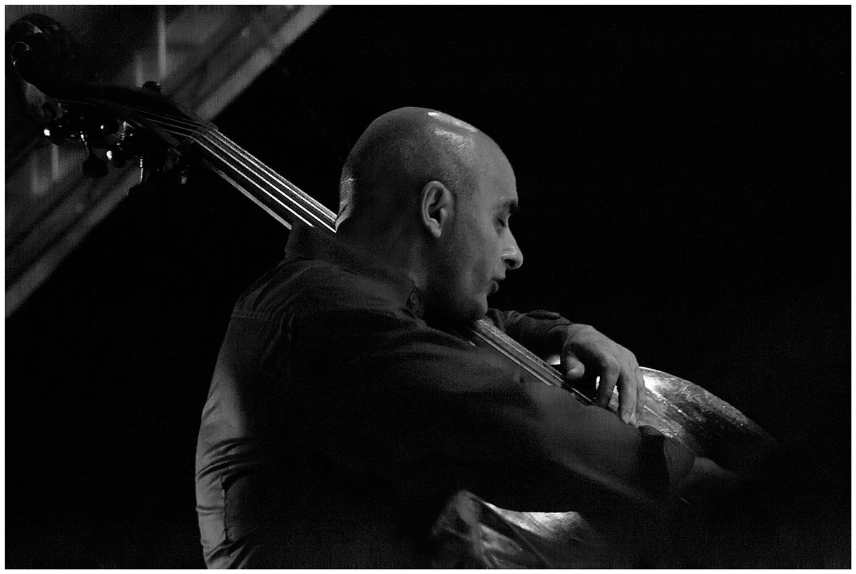 "Swingin' Cats", Nicola Muresu