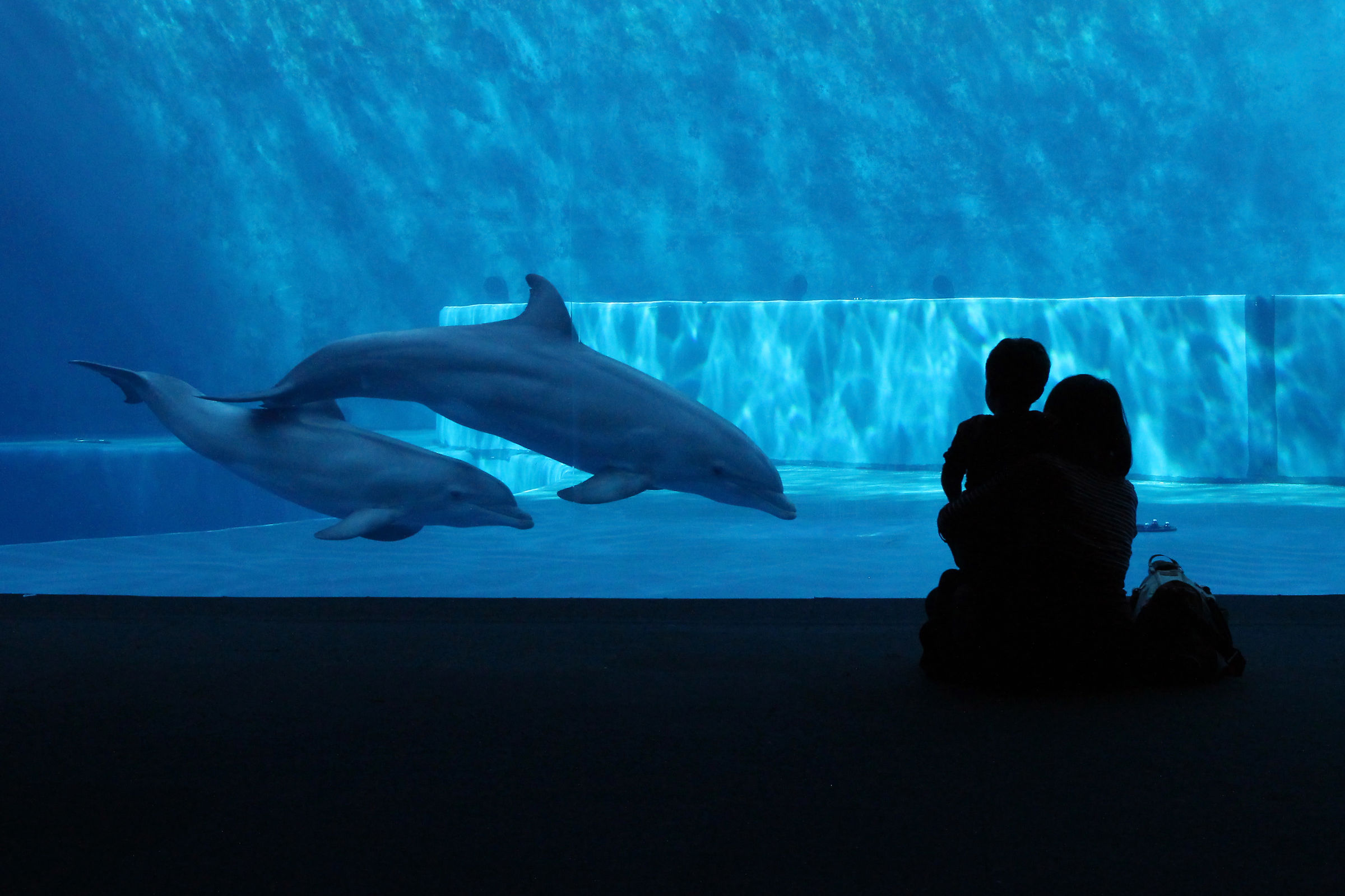 Doppio abbraccio materno